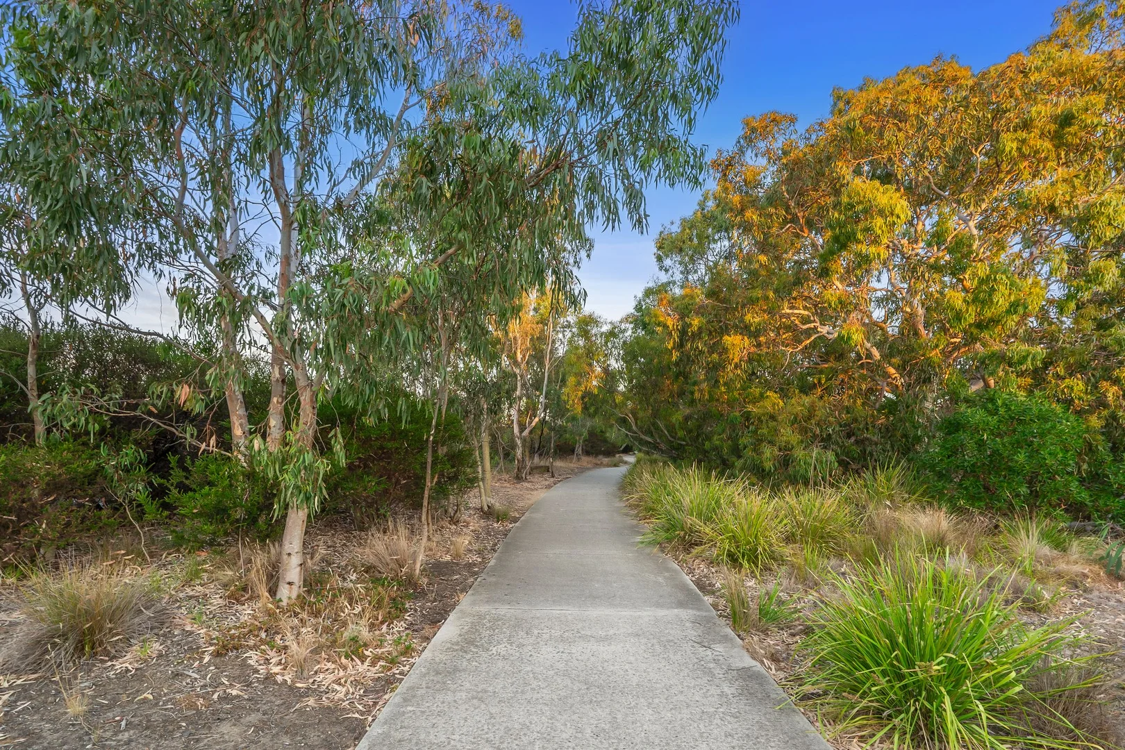 Additional image 20 of 13-15 Ploughman Place, Armstrong Creek VIC 3217