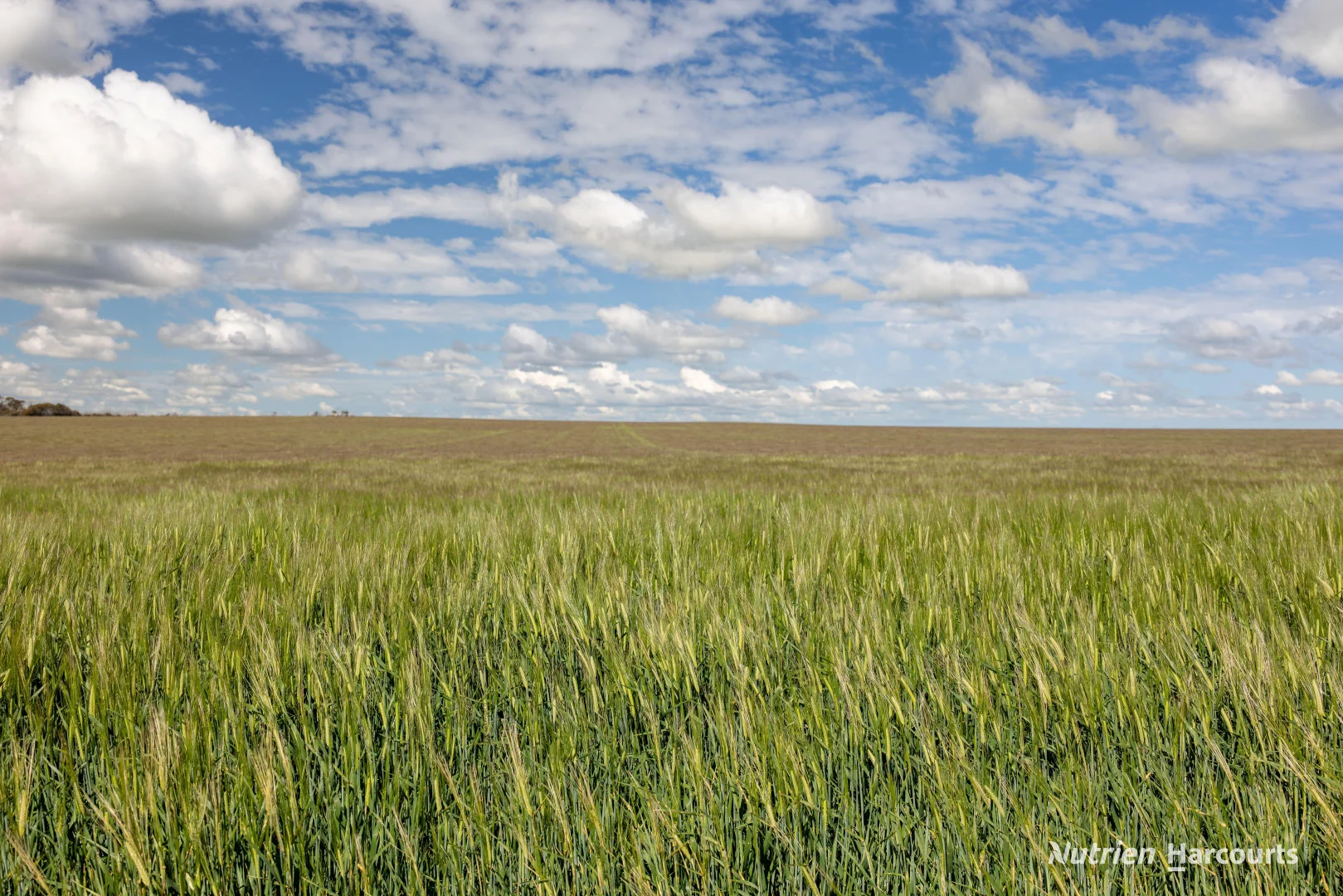 Additional image 13 of . Rollond Road, Cascade WA 6450