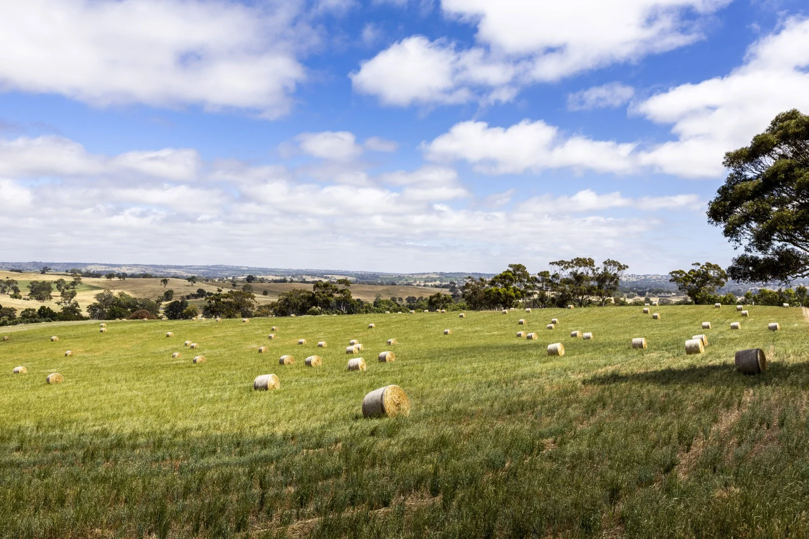 Additional image 11 of 178 Jutland Road, Springton SA 5235