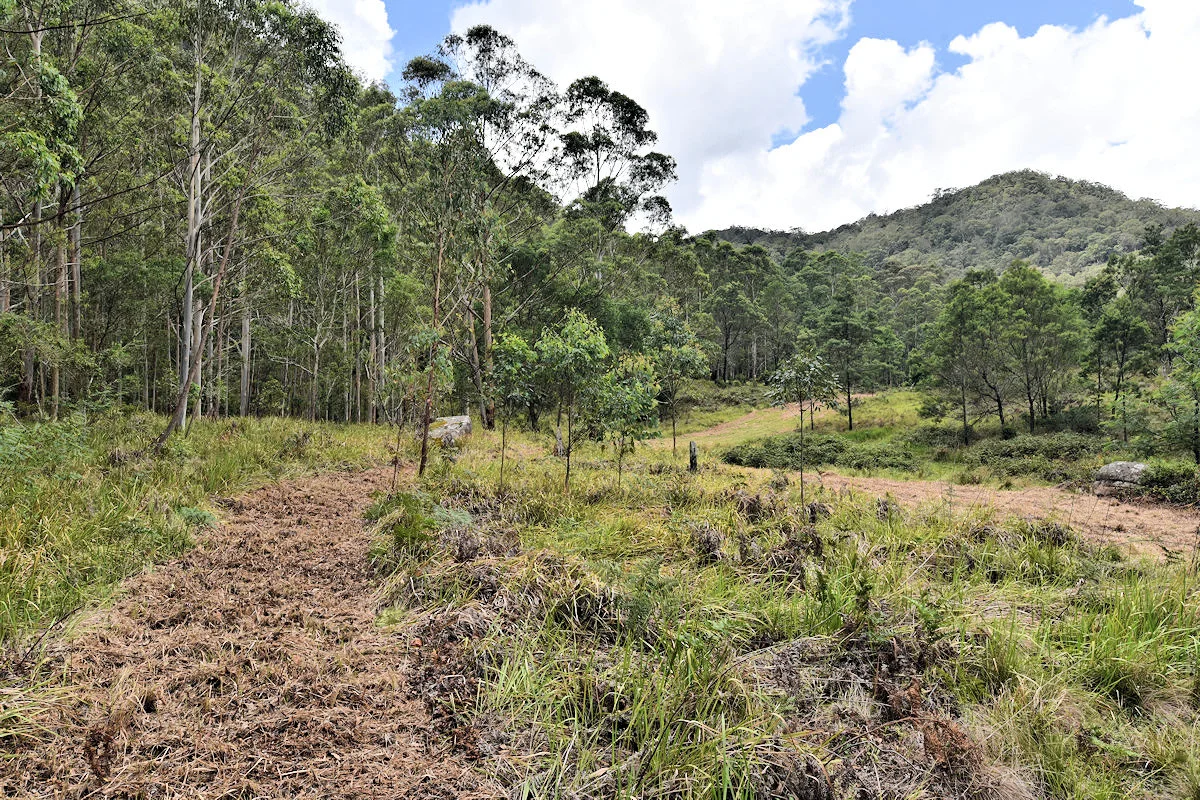 Additional image 21 of 1670 Watagan Creek Road, Watagan NSW 2325