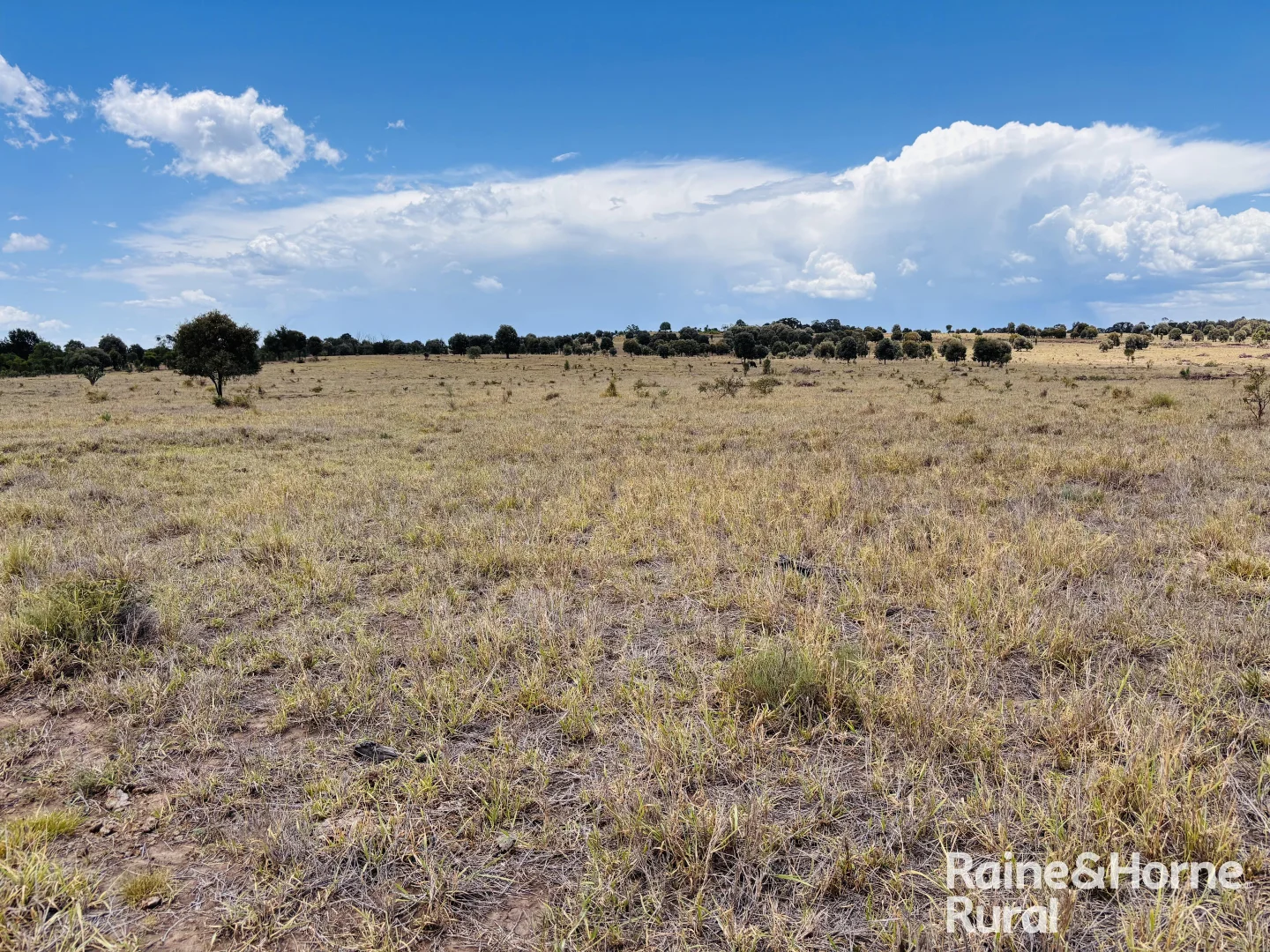 Additional image 20 of 330 Burrow Downs Road, Injune QLD 4454