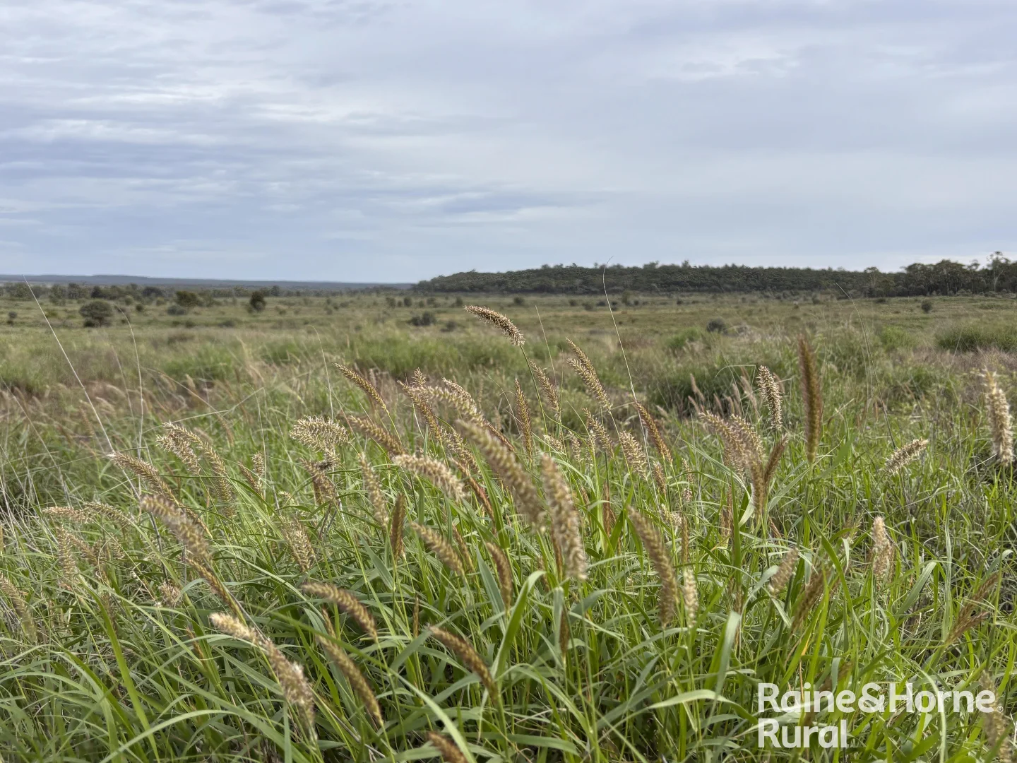 Additional image 5 of 1148 Nalpa Downs Road, Mitchell QLD 4465