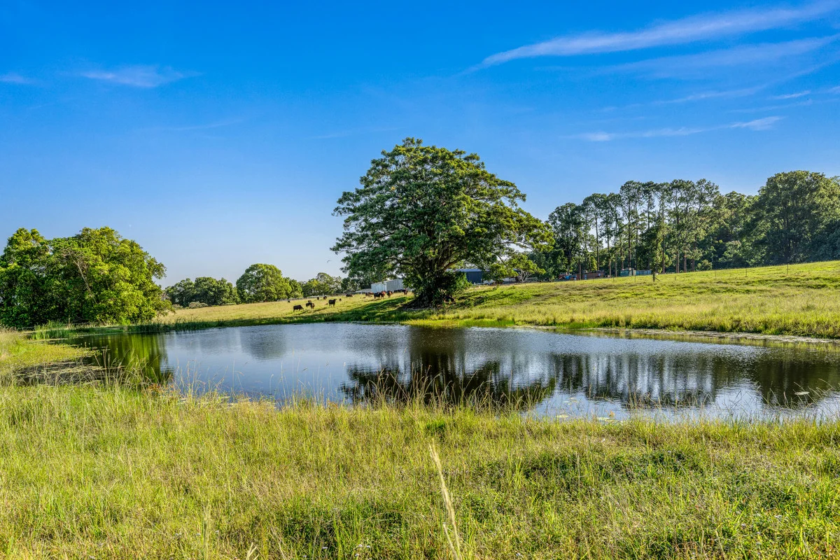 Additional image 12 of 81 Heath Road, Stanmore QLD 4514