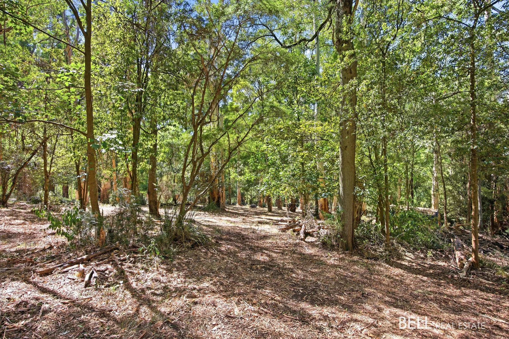 Additional image 7 of 5 Story Road, Warburton VIC 3799