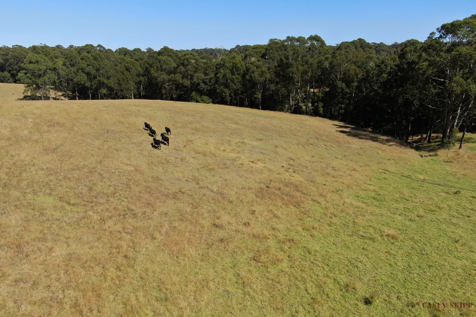 Additional image 11 of 3048 Princes Highway, Kalimna West VIC 3909