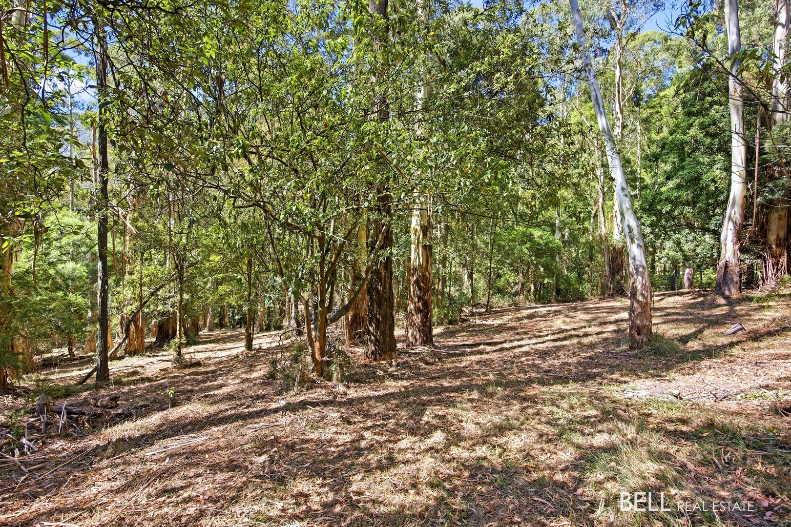 Additional image 8 of 5 Story Road, Warburton VIC 3799