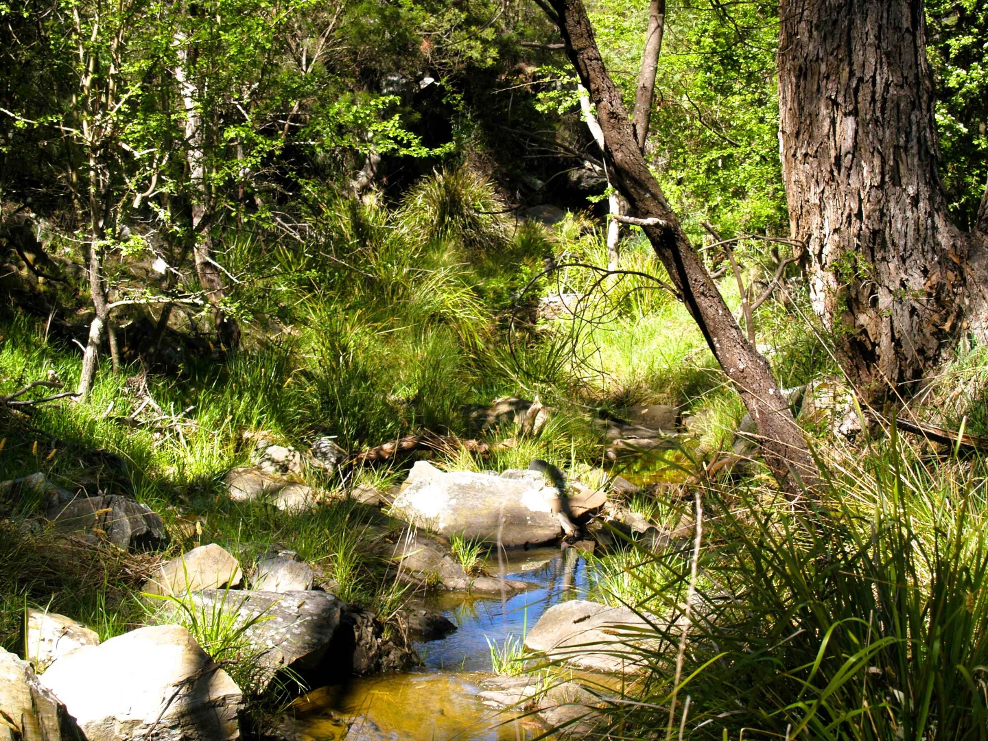 Additional image 22 of 198 Wurungul Lane, Gundaroo NSW 2620