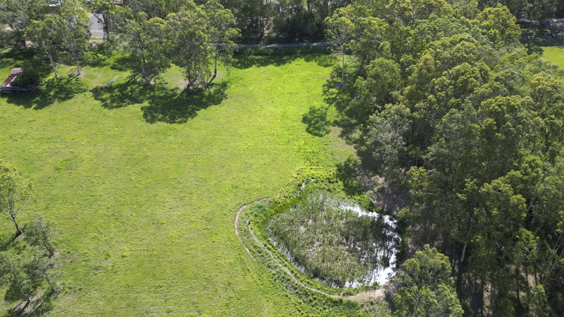 Additional image 25 of 65 Cook Street, Lawrence NSW 2460