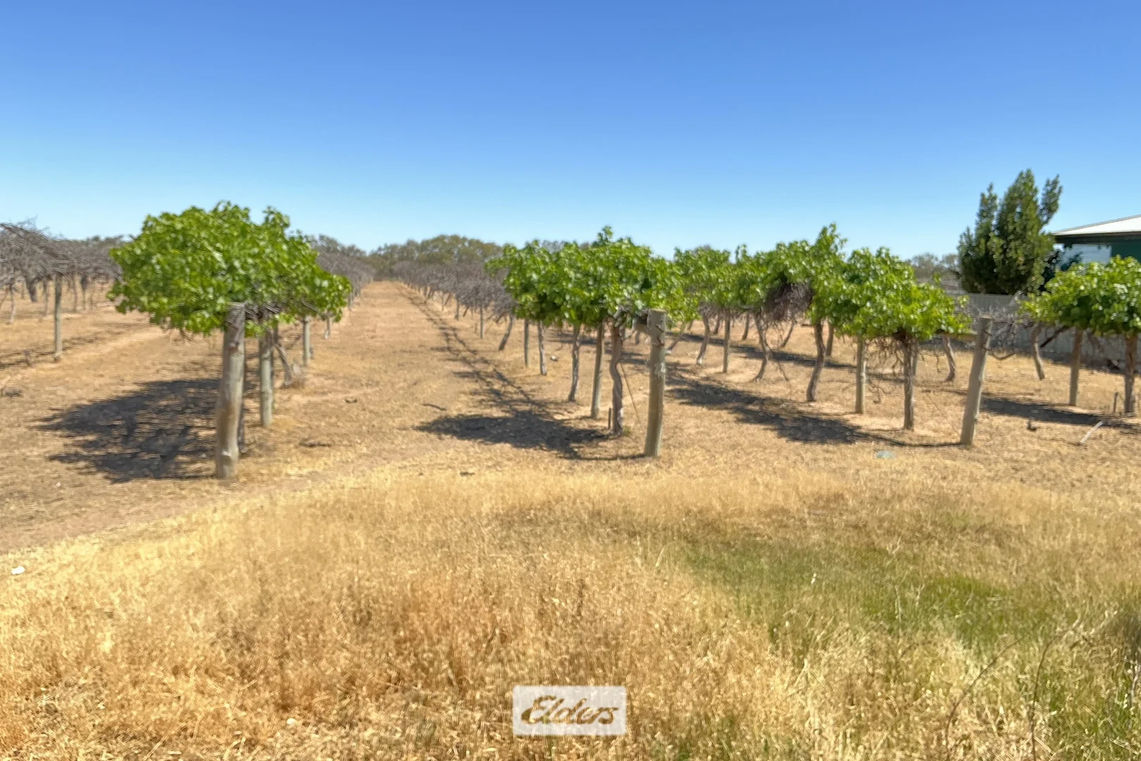 Additional image 21 of 48 Menindee Road, Menindee NSW 2879