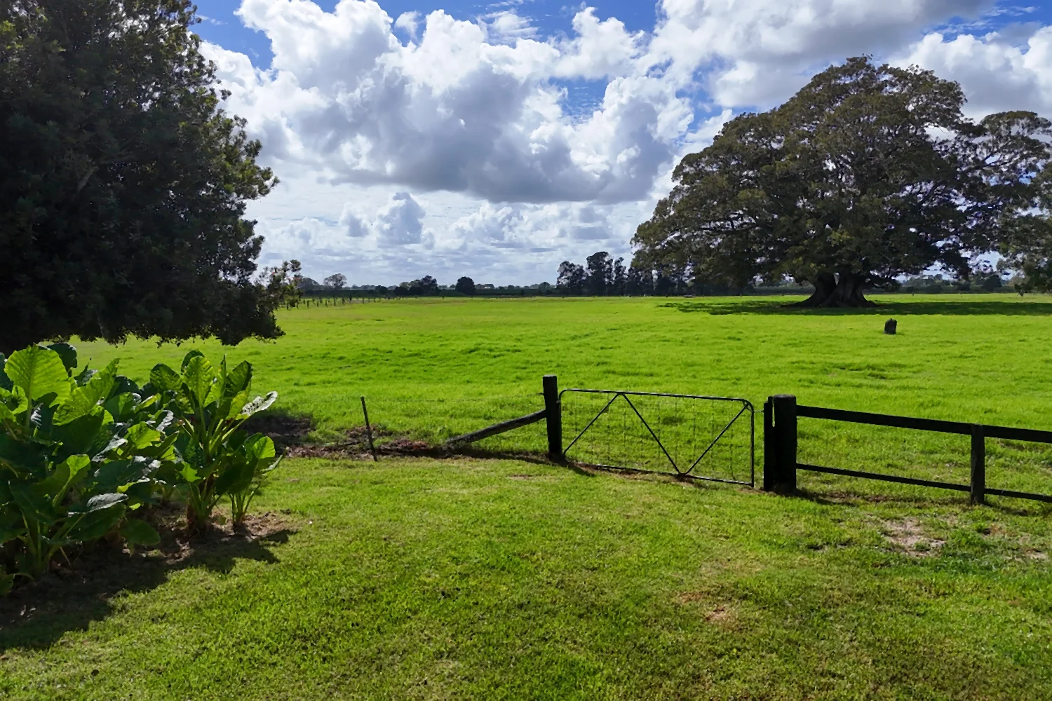 Additional image 26 of 1110 Macleay Valley Way, Bellimbopinni NSW 2440