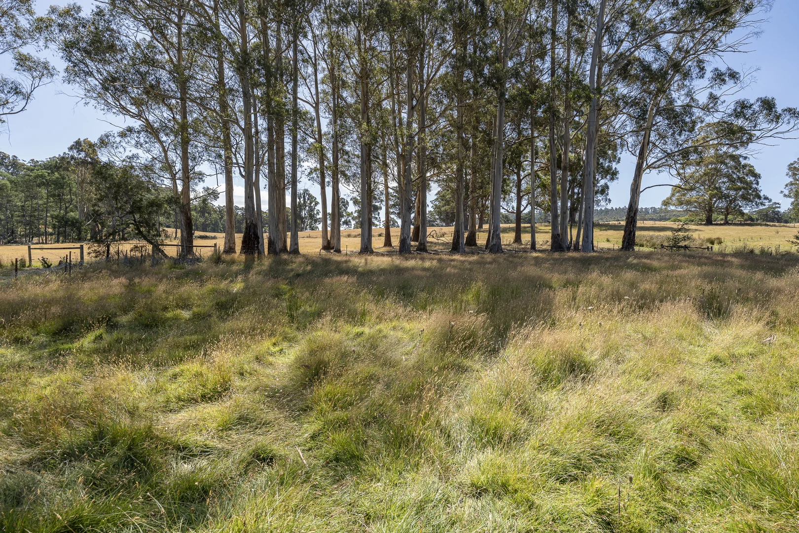 Additional image 20 of 42 Hermons Road, Geeveston TAS 7116