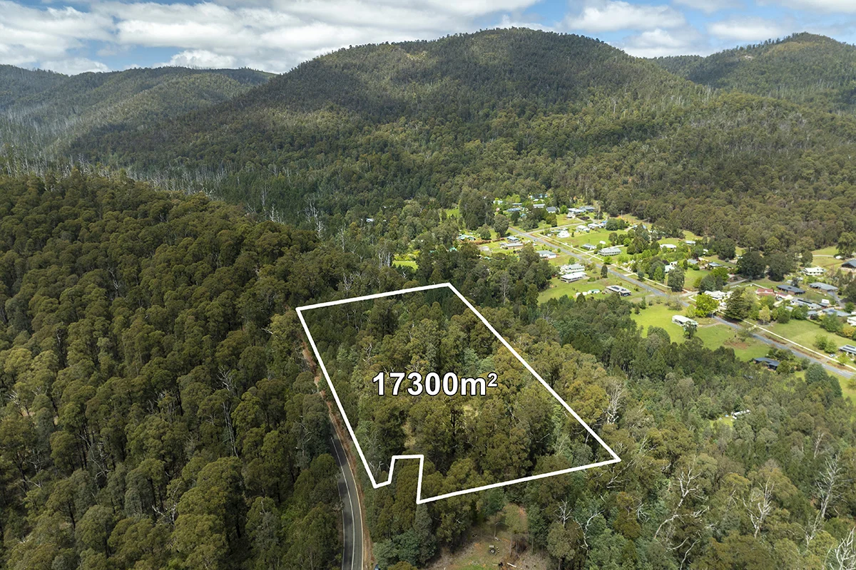 Additional image 13 of 42 Woods Point Road, Marysville VIC 3779