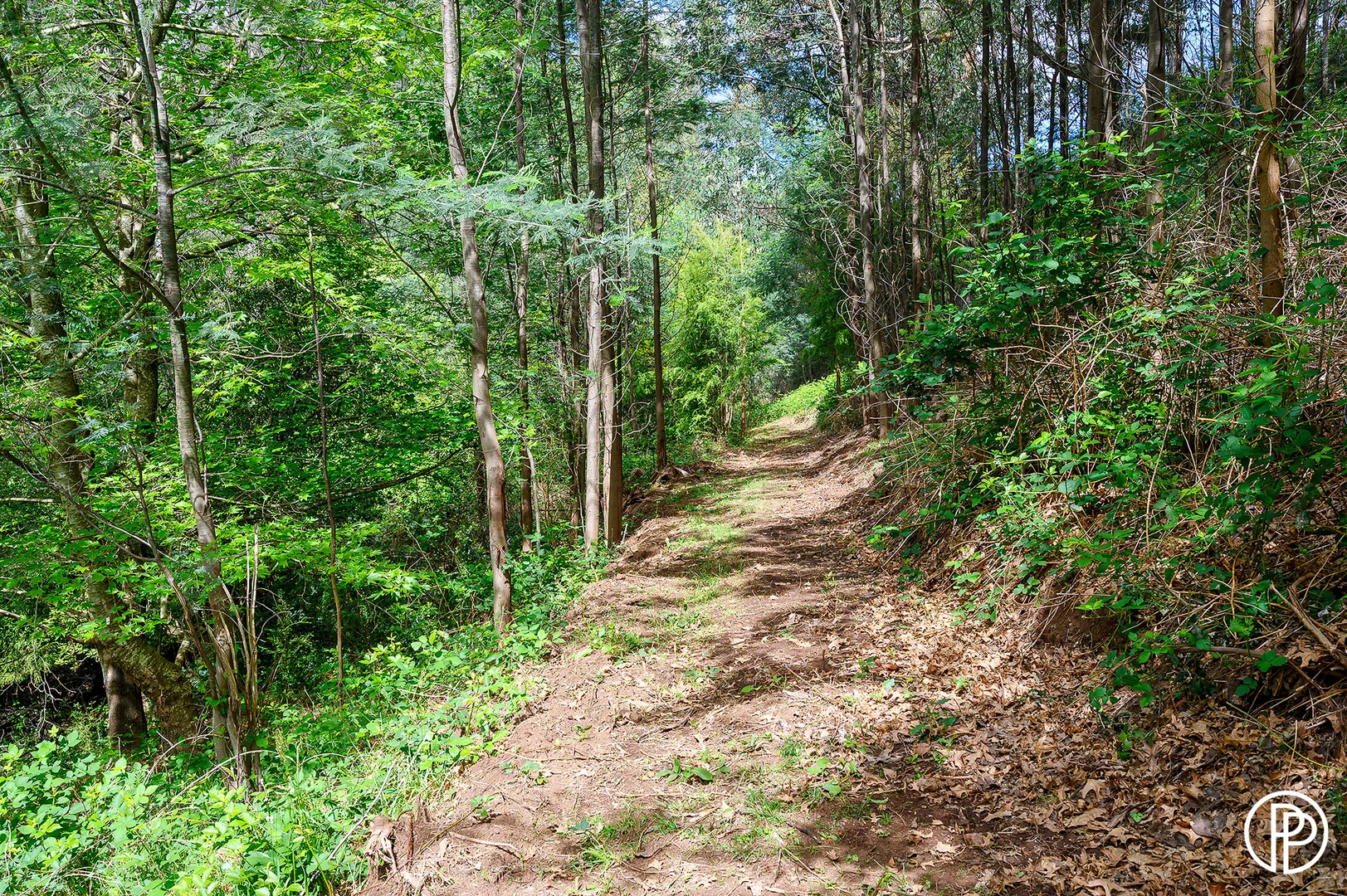 Additional image 11 of 330 Prices Road, Gladysdale VIC 3797