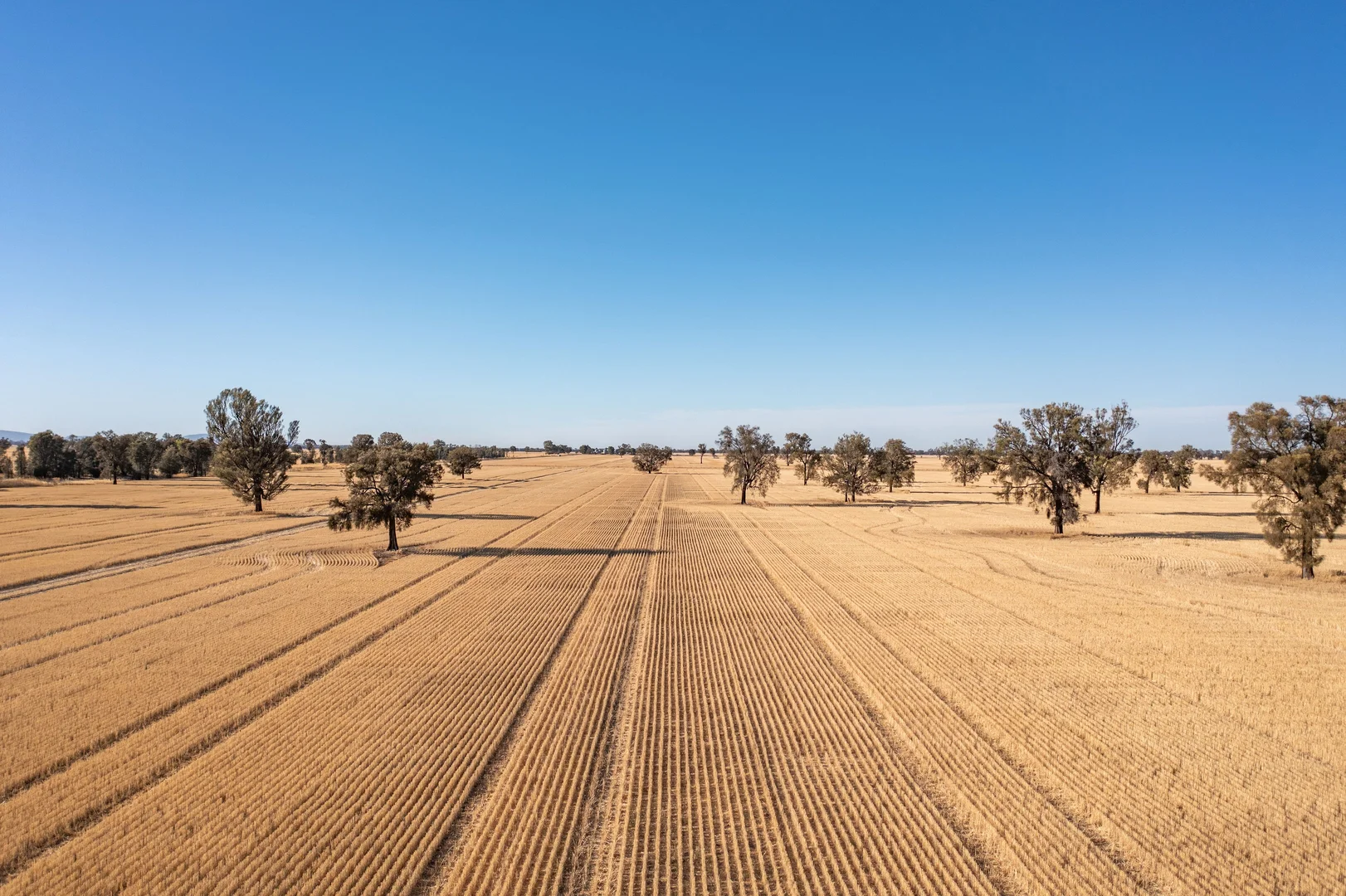 Additional image 2 of CA 37B & CA 38A Natimuk-Hamilton Road, Noradjuha VIC 3409