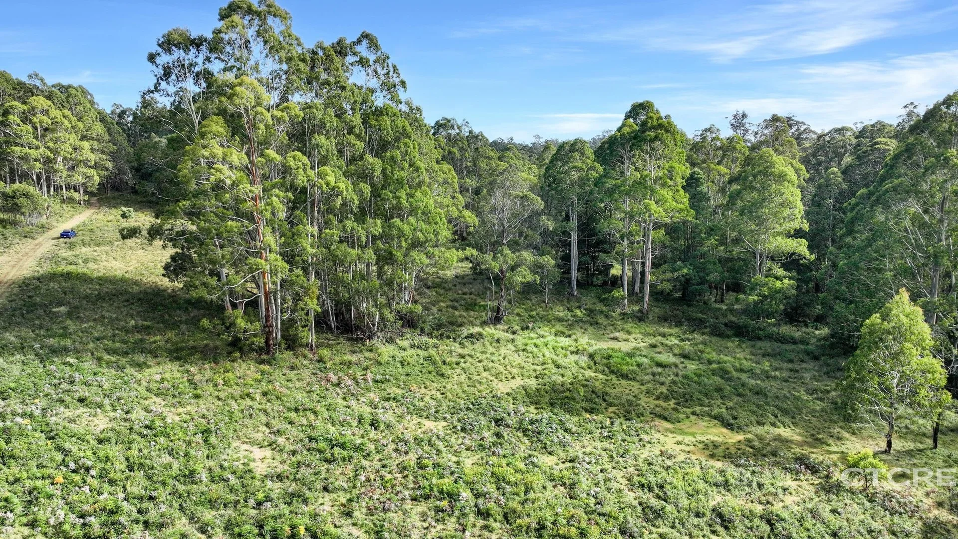 Additional image 3 of 12F & 12G Minchins Track, Bonang VIC 3888