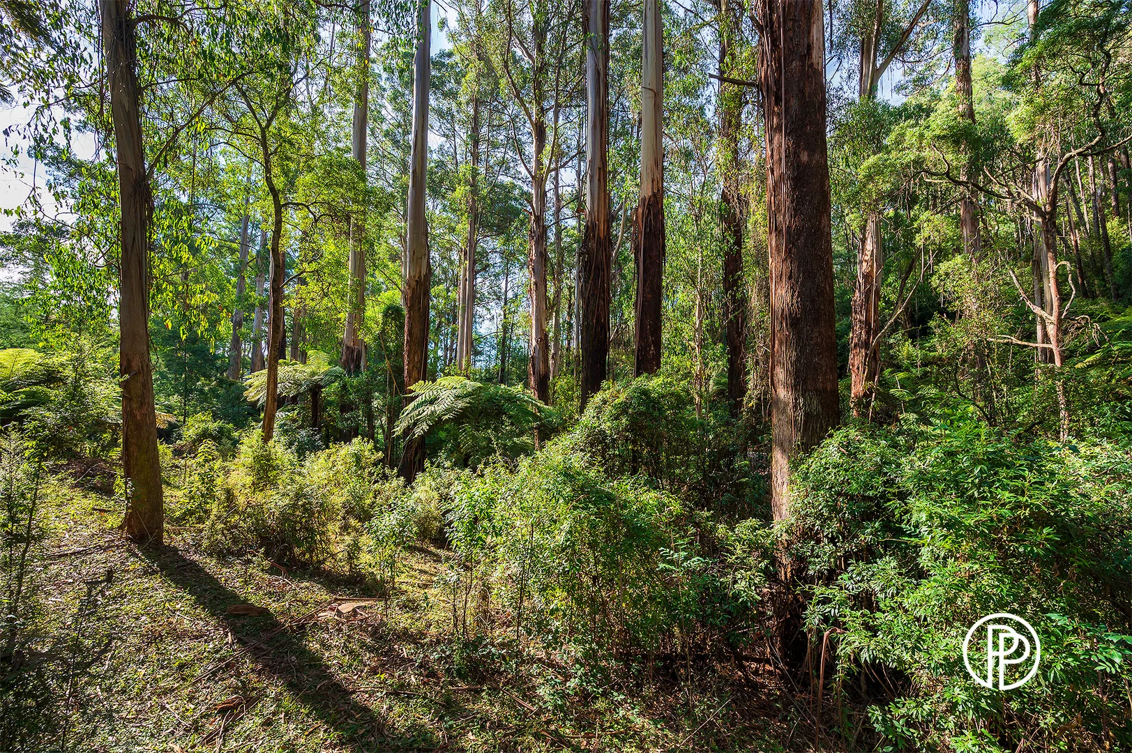 Additional image 13 of 330 Prices Road, Gladysdale VIC 3797