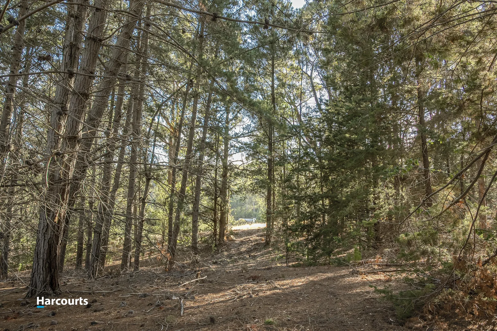 Additional image 2 of 38 Autumn Road, Cradoc TAS 7109