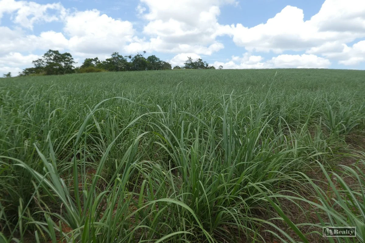 Additional image 9 of Belvedere QLD 4860