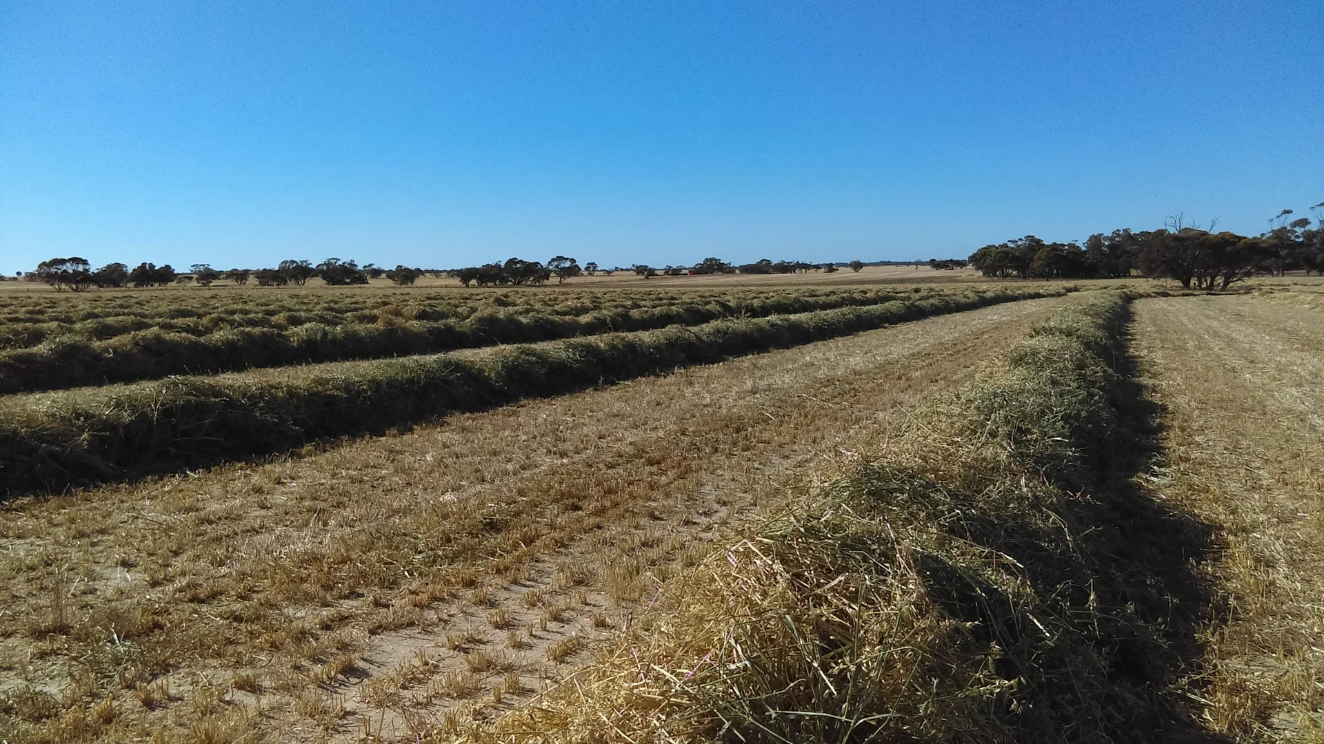 Additional image 4 of 1100 Propodollah Road, Nhill VIC 3418