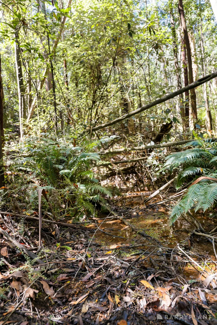 Additional image 8 of 39 Howard Road, Kinglake VIC 3763