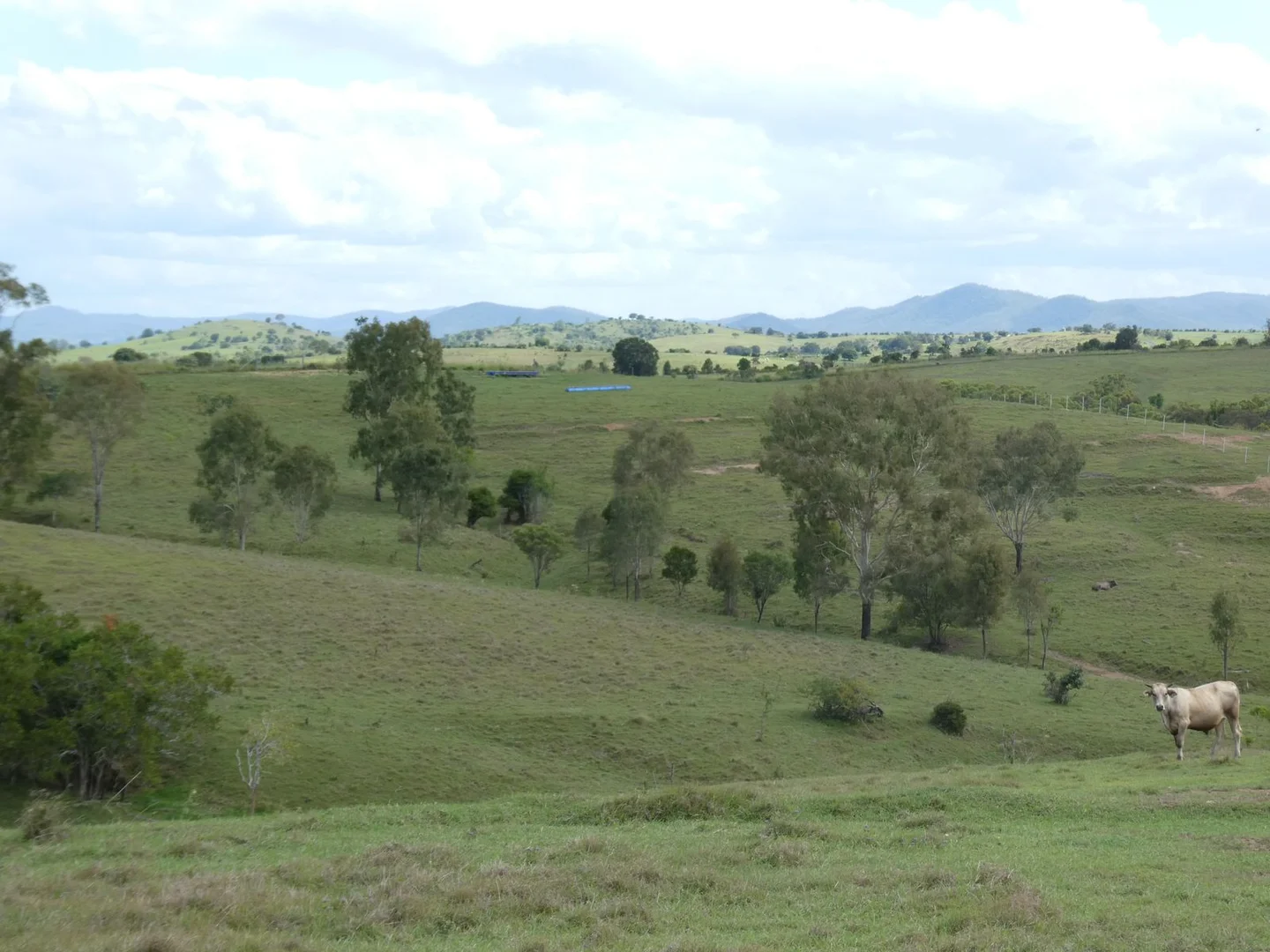 Additional image 5 of Lot 1 North Dallarnil Road, Dallarnil QLD 4621