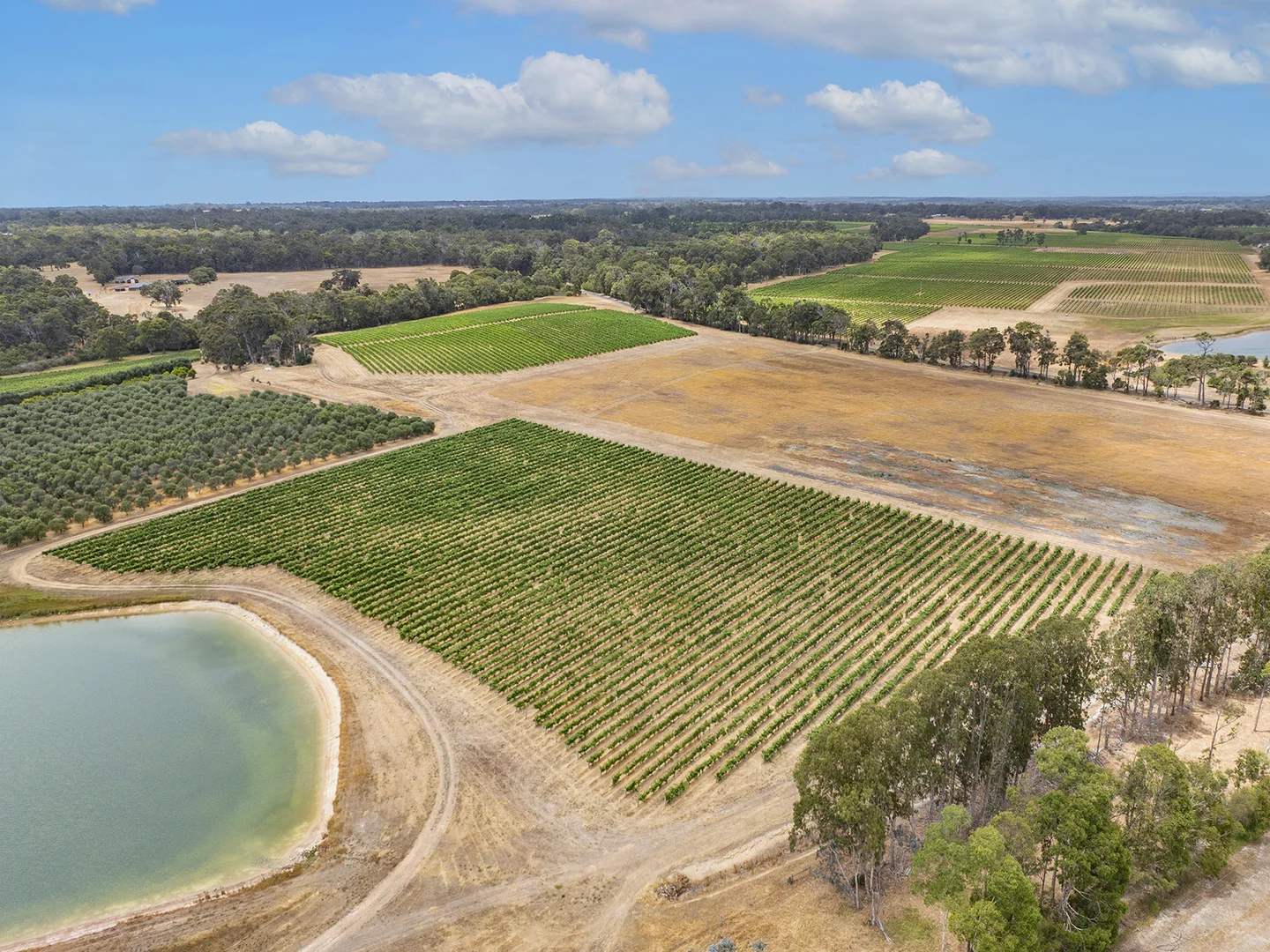 Additional image 4 of Lot 502 Clews Road, Cowaramup WA 6284