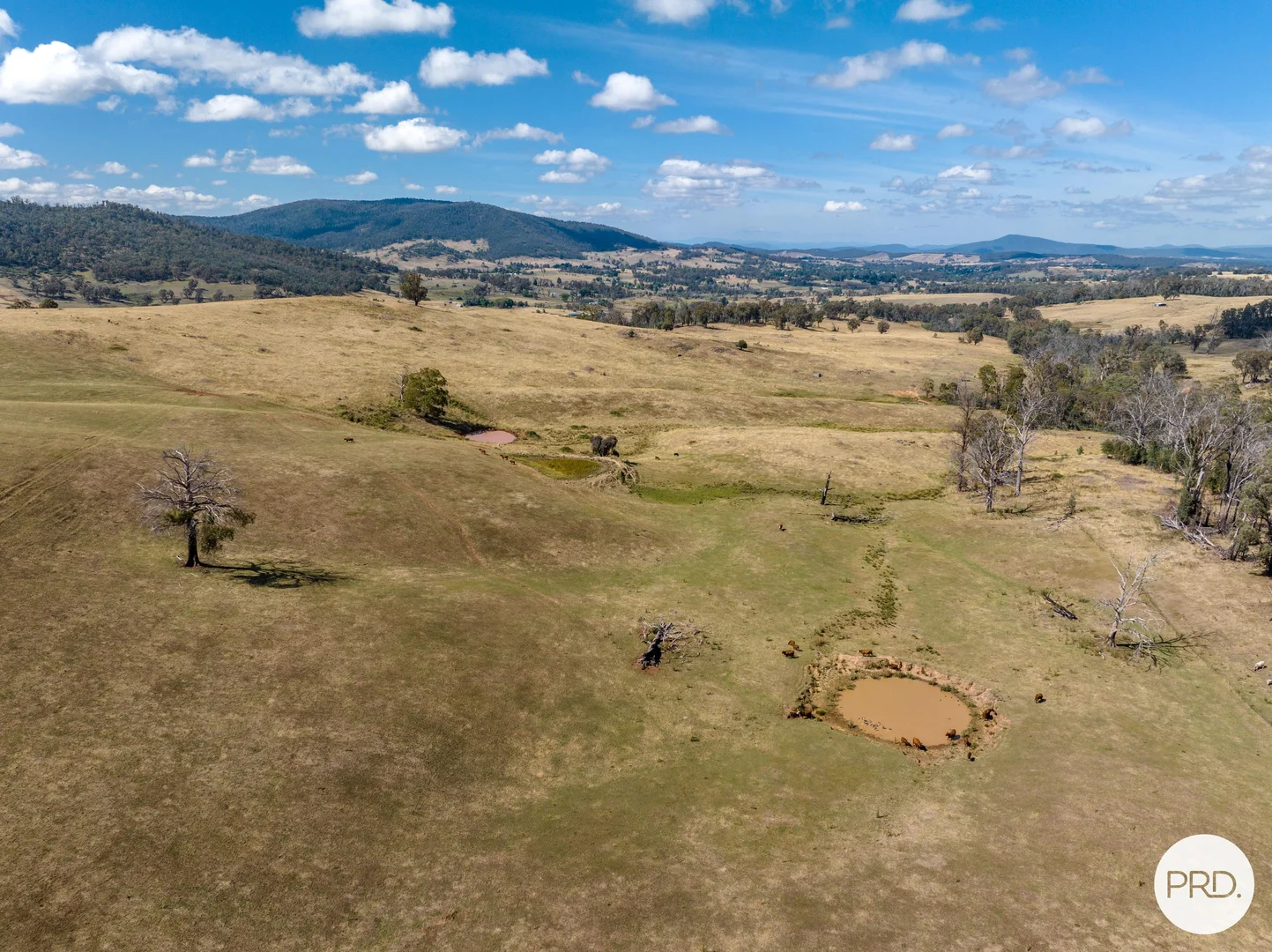 Additional image 14 of 1100 Batlow Road, Tumbarumba NSW 2653