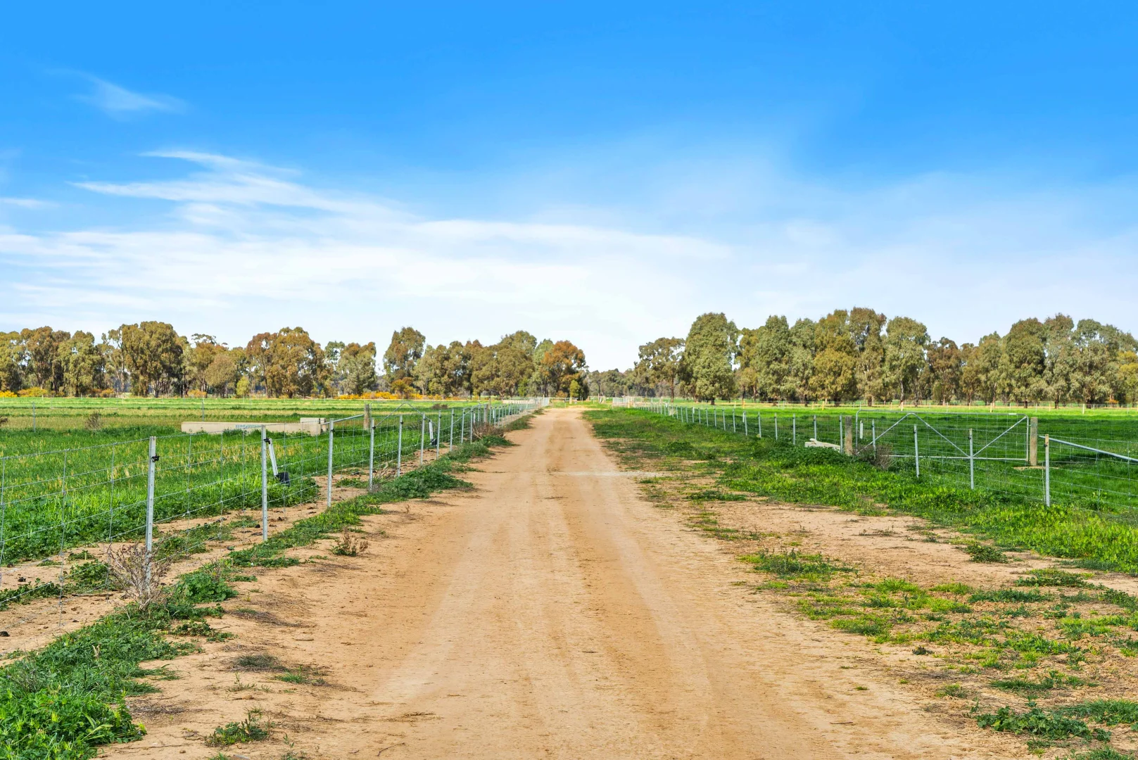 Additional image 16 of Pinewood, 870 Walshs Bridge Road, Kaarimba VIC 3635