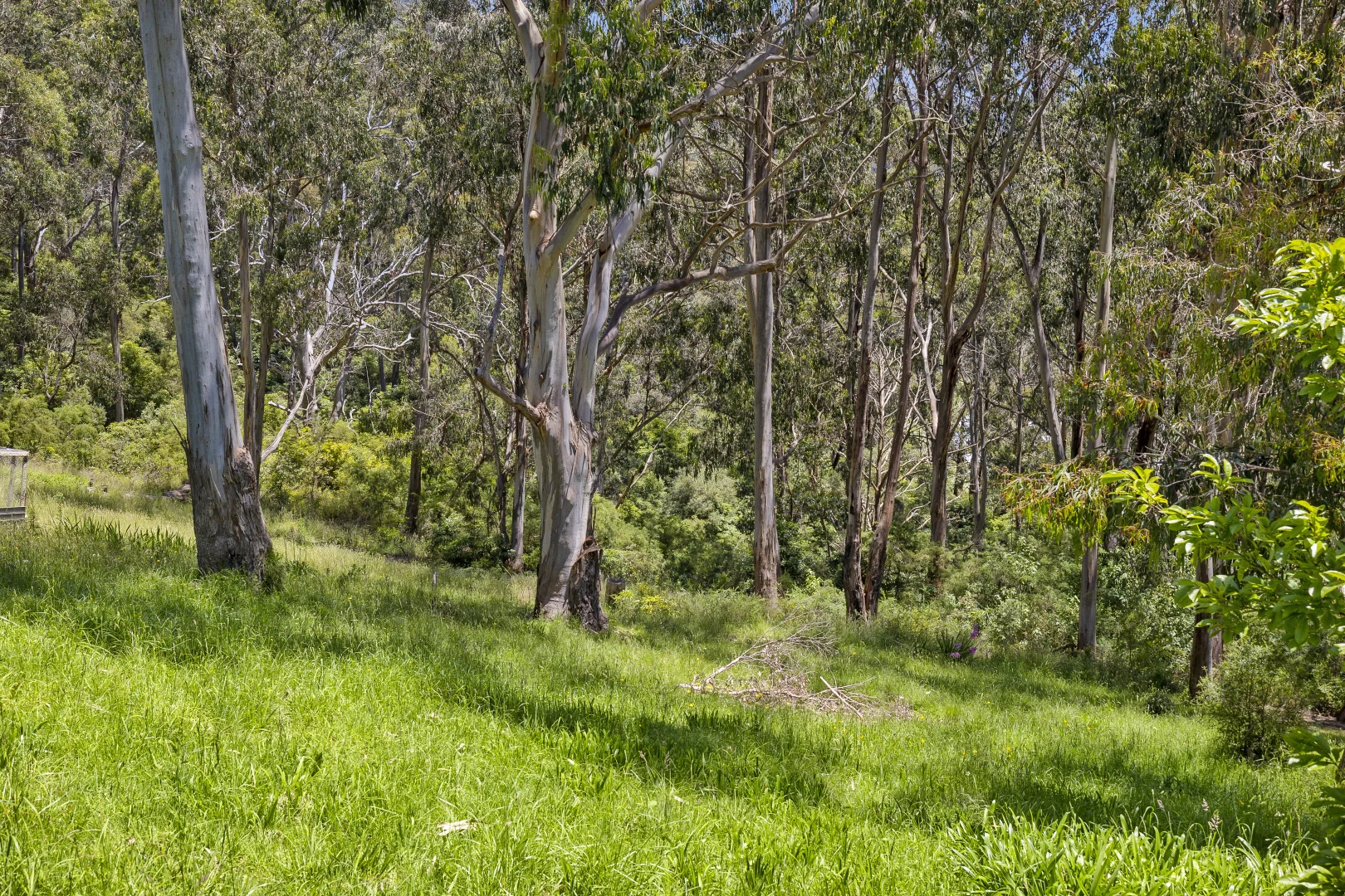 Additional image 5 of 19 McRae Road, Wye River VIC 3234