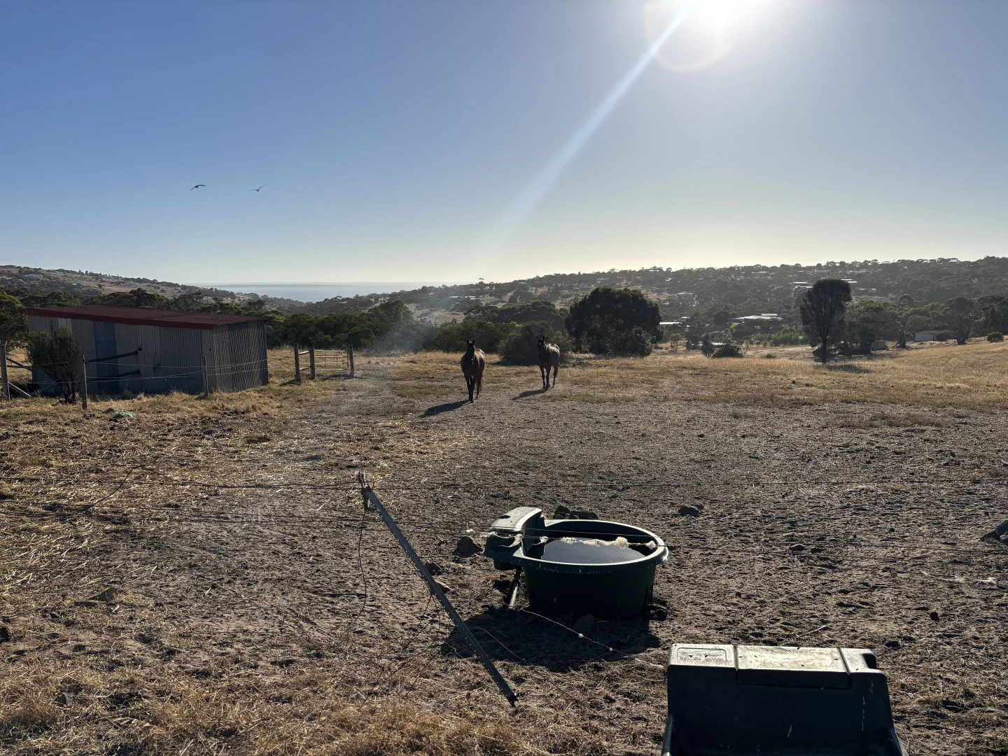 Additional image 19 of 7 Hidden Valley Lane, Boston SA 5607