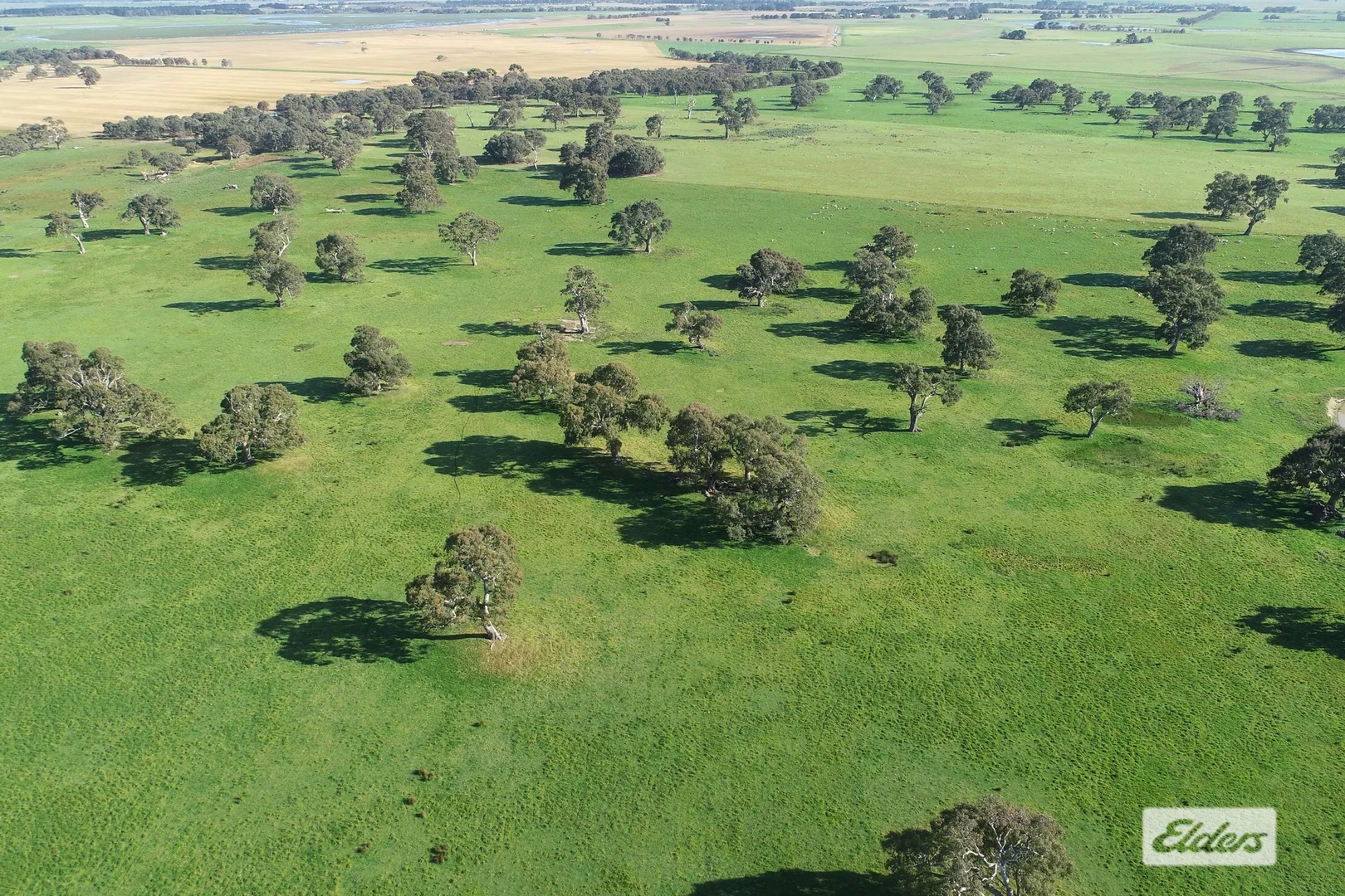 Additional image 10 of CA 91a 91b Mitchell Street, Glenthompson VIC 3293