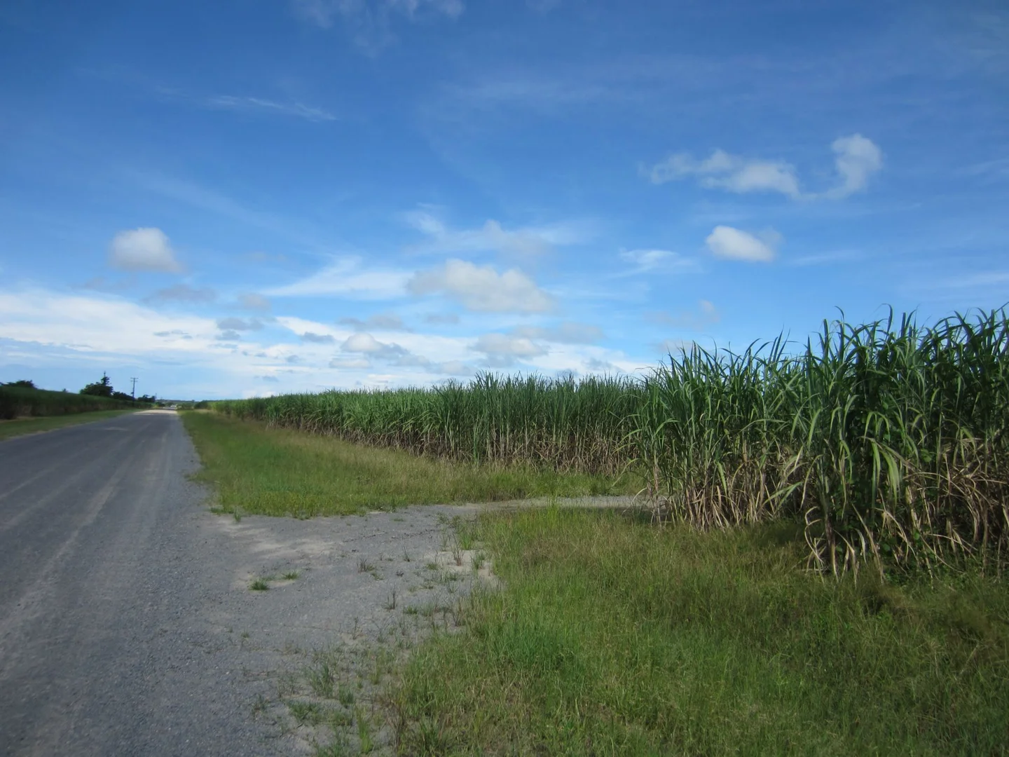 Additional image 12 of Japoonvale QLD 4856