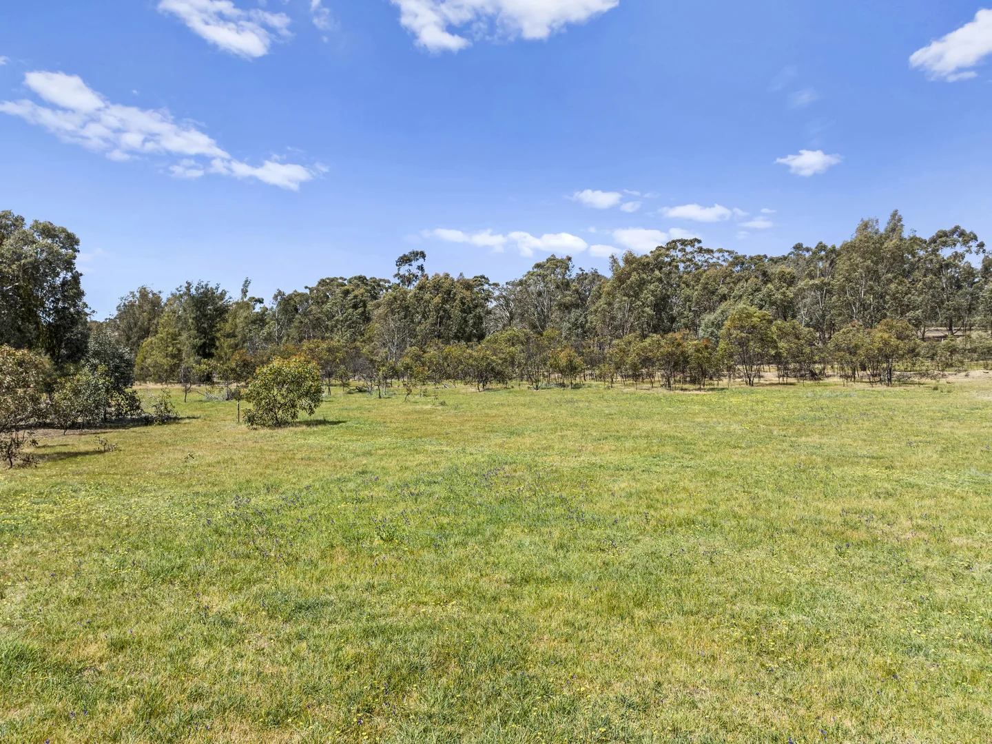 Additional image 2 of Lot 2 Gellibrand Tonks Road, Earlston VIC 3669