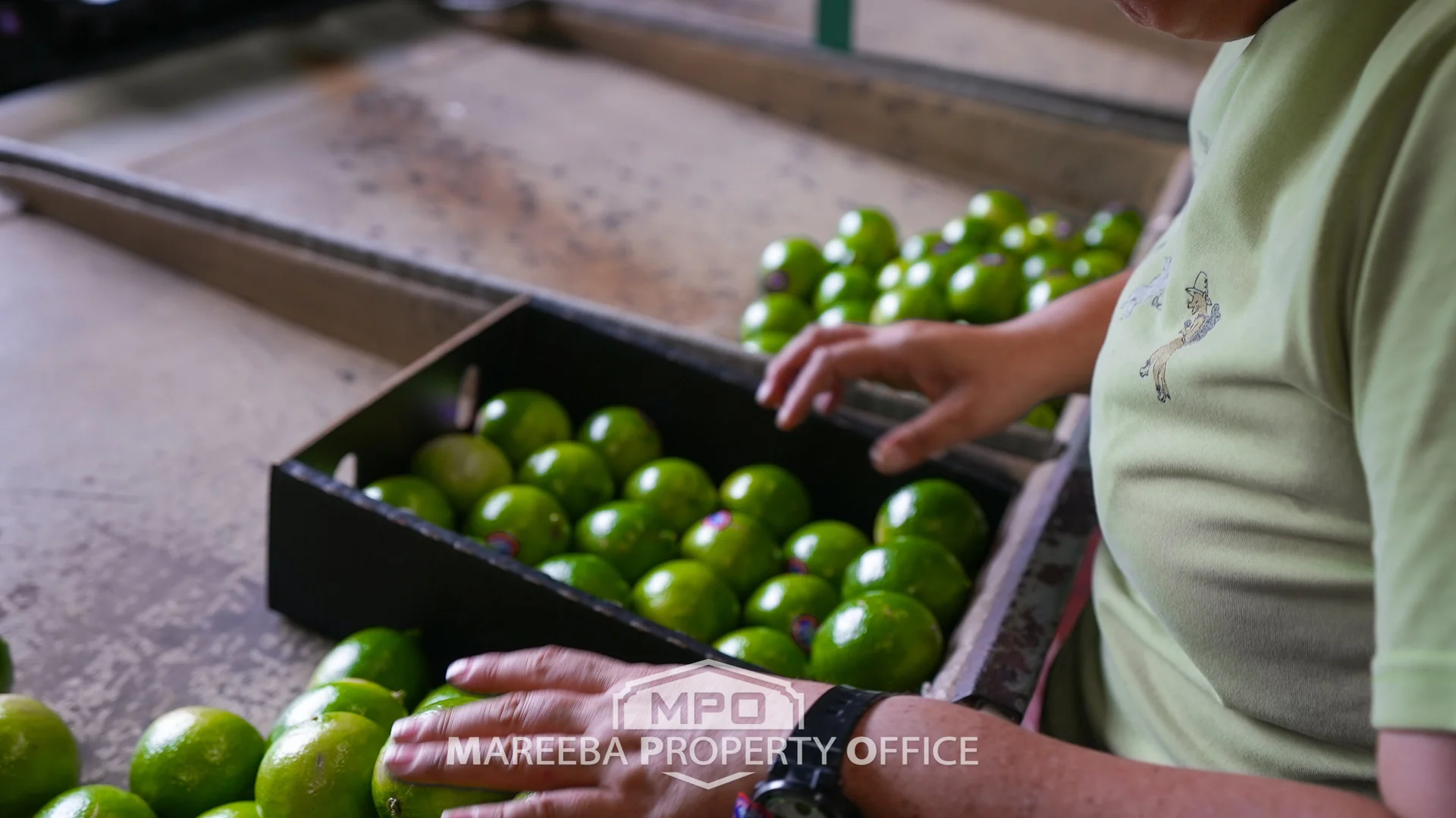 Additional image 20 of 4283 Kennedy Highway, Mareeba QLD 4880