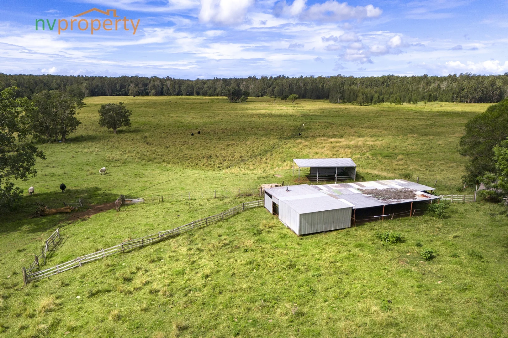 Additional image 22 of 76 Maple Road, Yarrahapinni NSW 2441