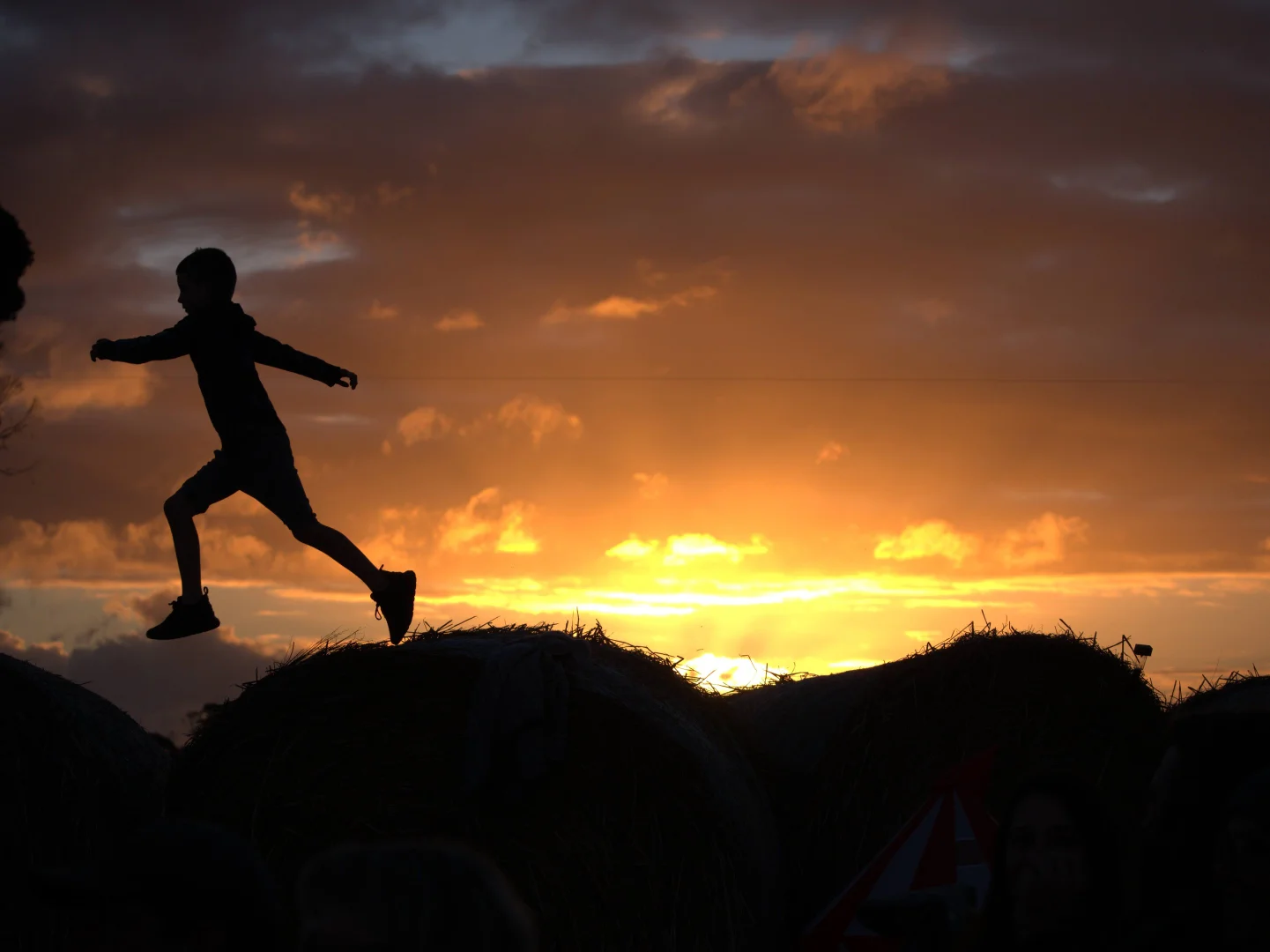 Additional image 23 of 490 East West Two Highway, Seddon SA 5223