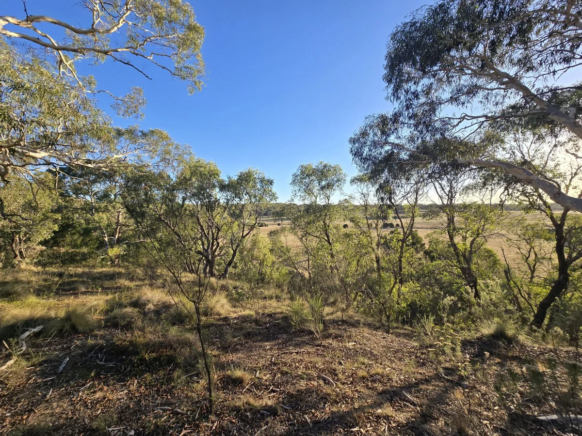 Additional image 21 of 32 Hush Road, Windellama NSW 2580