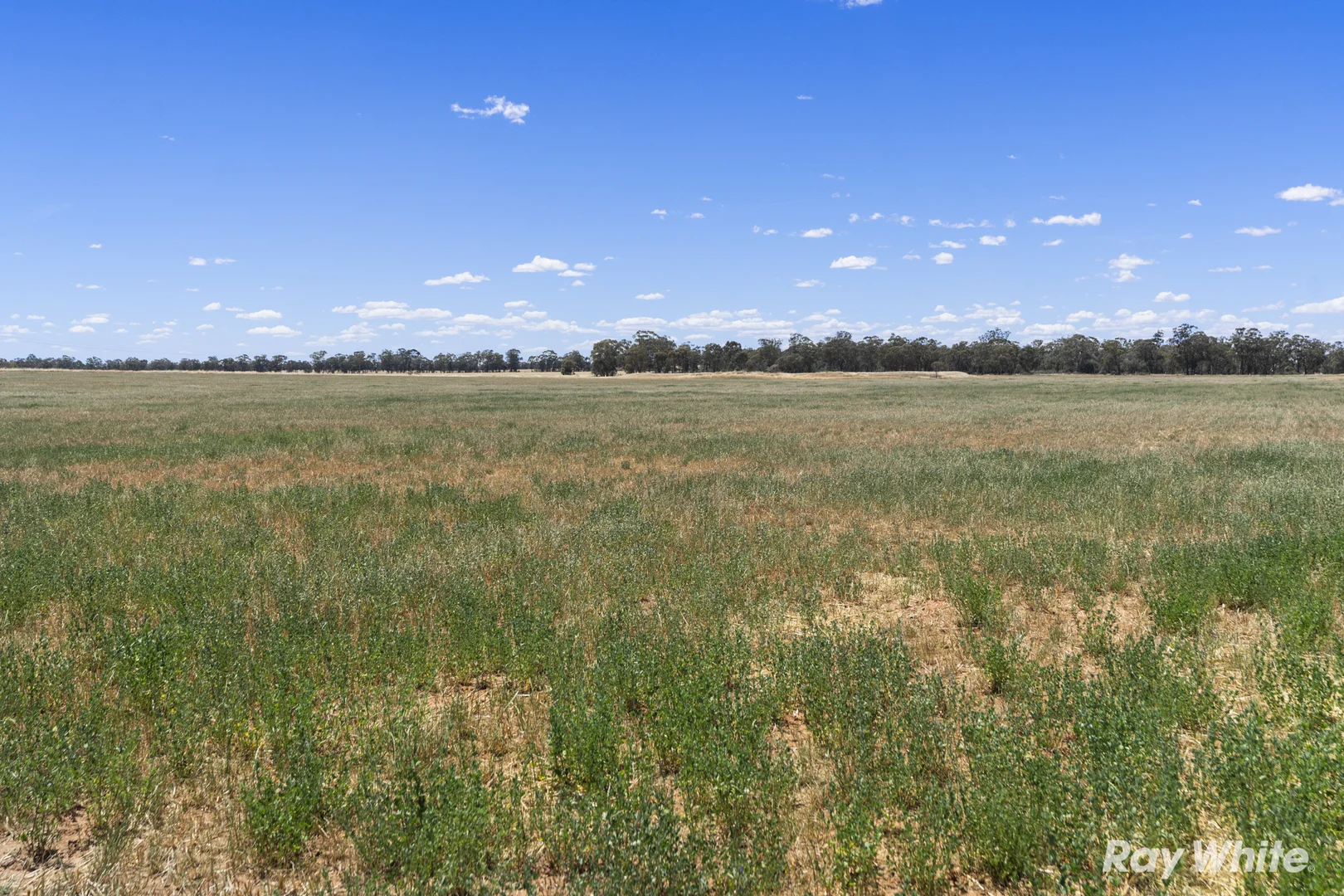 Additional image 5 of 79 Croziers Lane, Ganmain NSW 2702