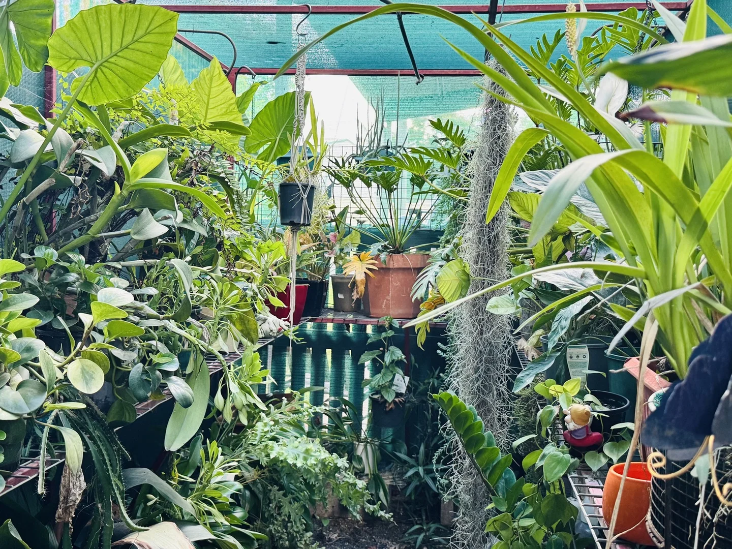 Additional image 23 of 57 CUTHBERT Street, Moranbah QLD 4744