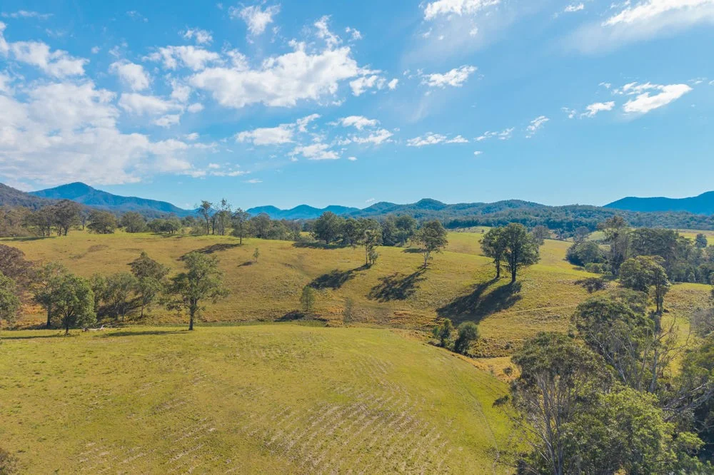 Additional image 8 of LOT 1 of 449 Hickeys Creek Road, Millbank NSW 2440