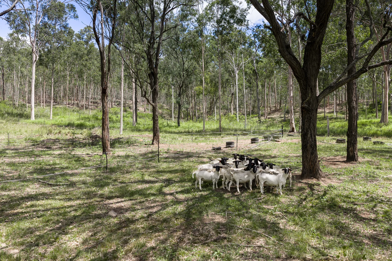 Additional image 17 of 1417 Murphys Creek Road, Murphys Creek QLD 4352