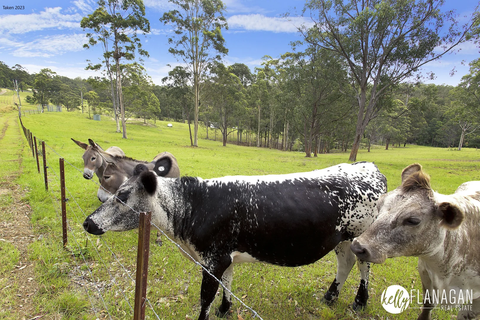 Additional image 22 of 136 Roses Road, Collombatti NSW 2440