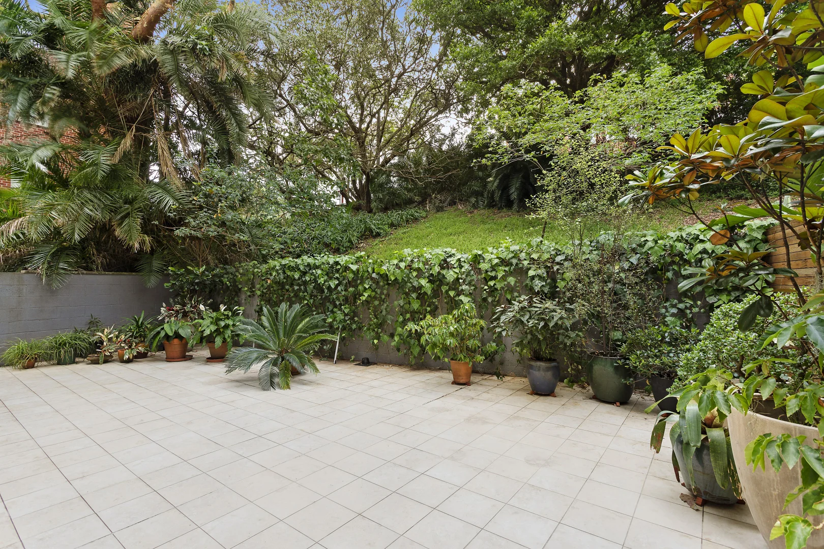 Additional image 8 of 2/539 New South Head Road, Double Bay NSW 2028