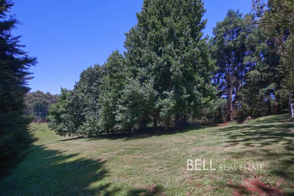 Additional image 20 of 74 Beenak Road, Gembrook VIC 3783