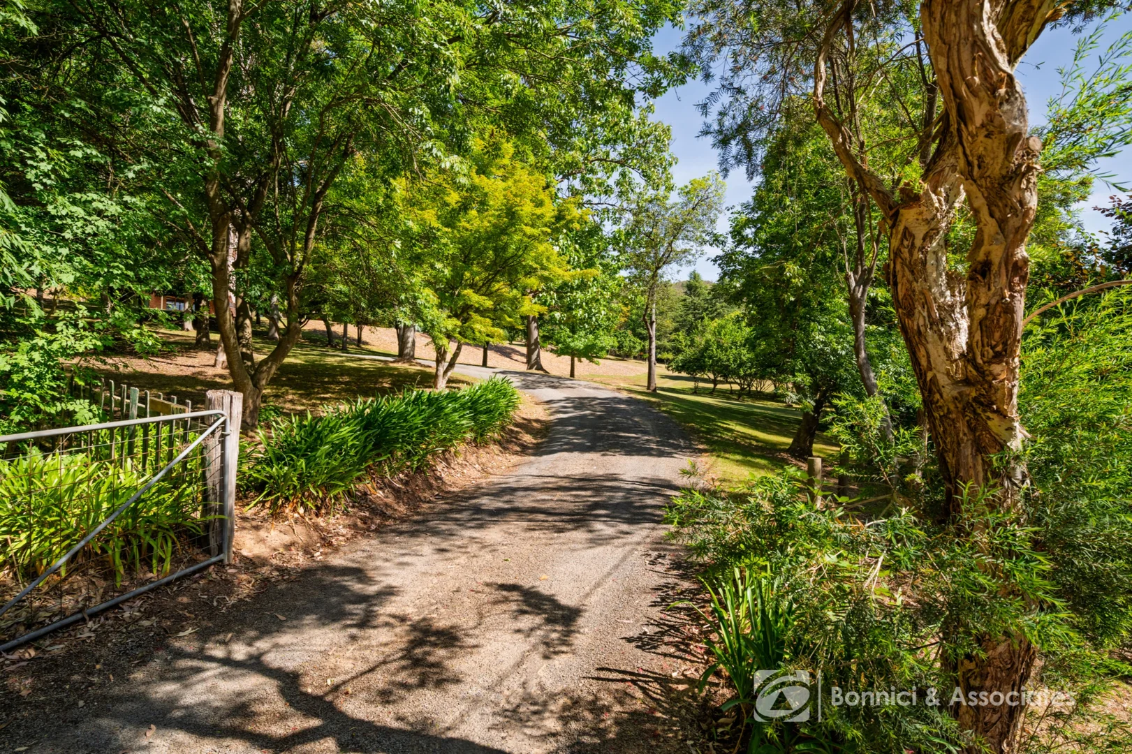 Additional image 2 of 419 Buffalo River Road, Myrtleford VIC 3737