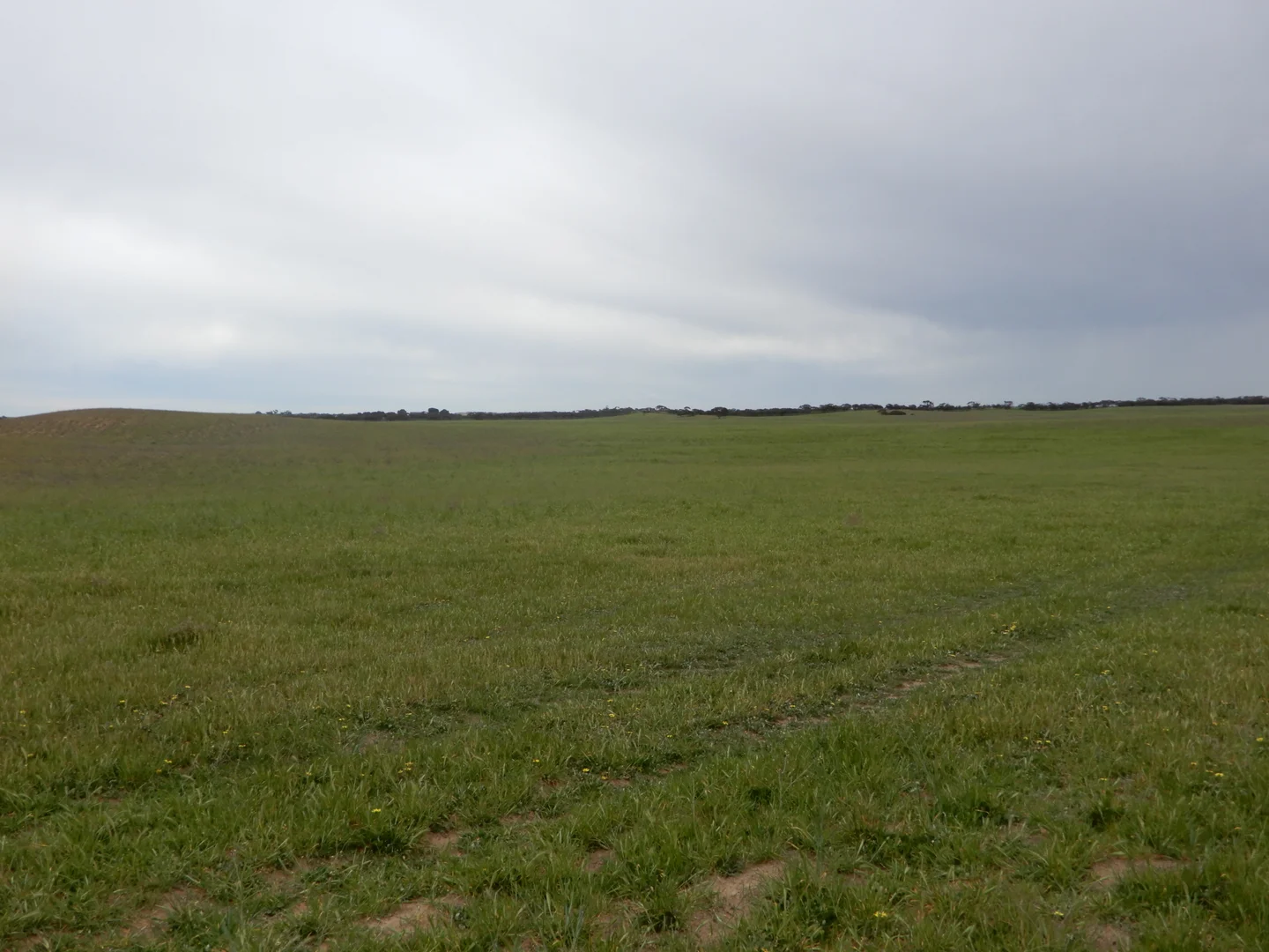 Additional image 6 of 1481 Parrakie North Road, Lameroo SA 5302