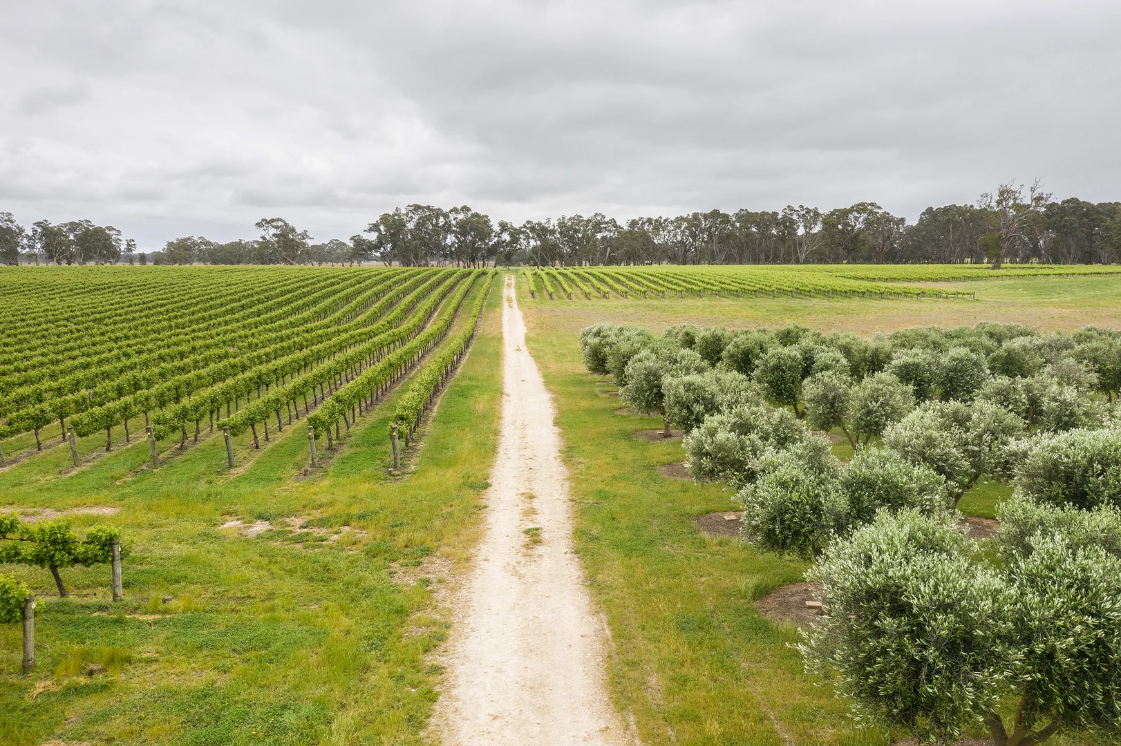 Additional image 3 of Nolans Road, Hynam SA 5262