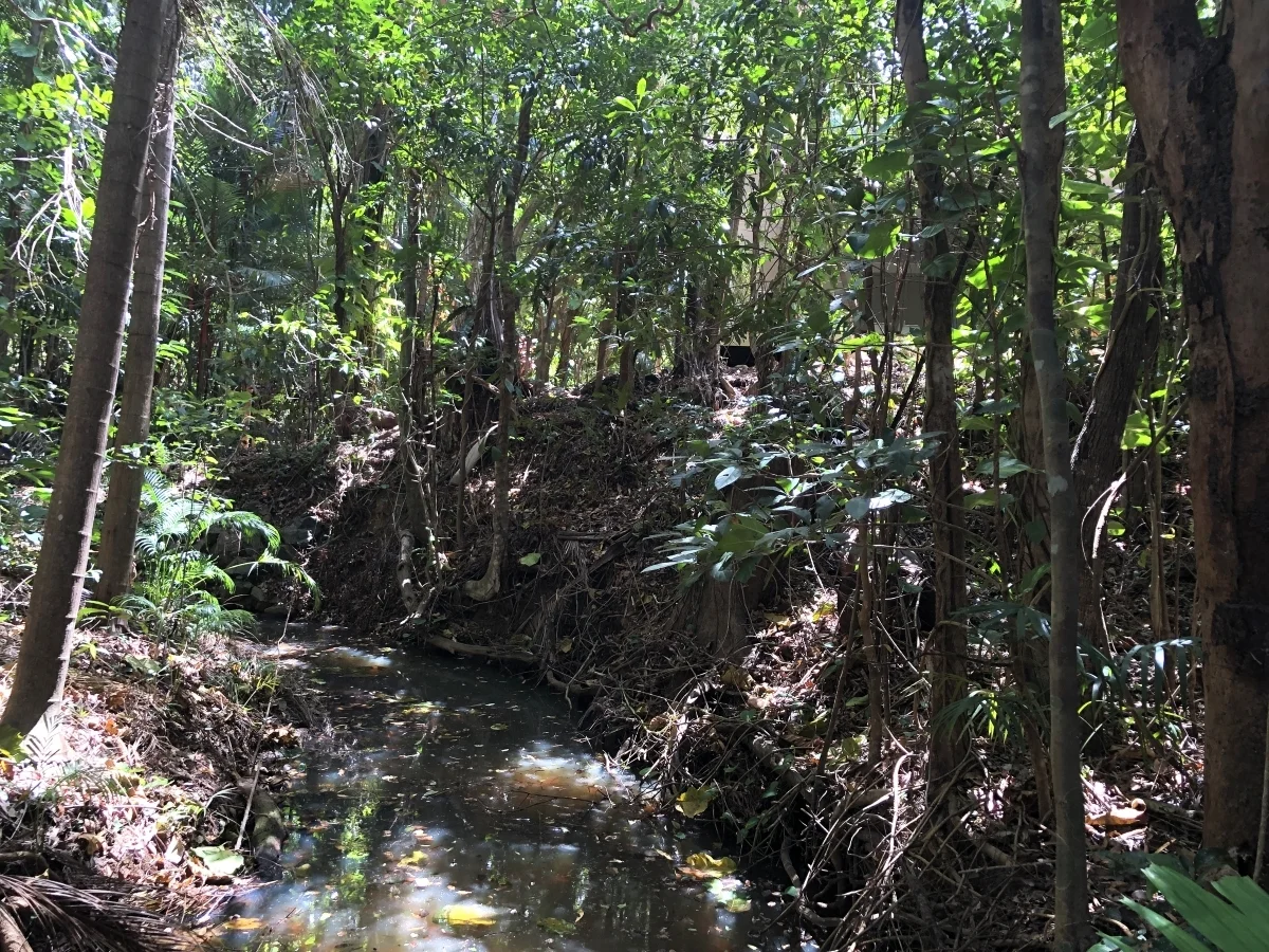 Additional image 53 of 34 Savage St, Cooktown QLD 4895