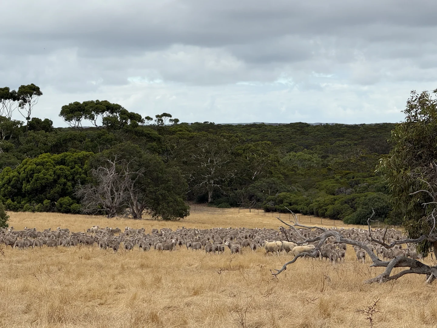 Additional image 4 of 490 East West Two Highway, Seddon SA 5223