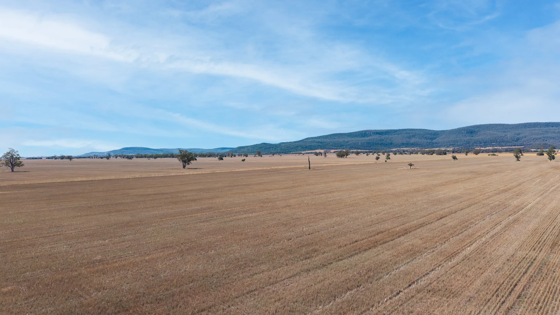Additional image 9 of "Avoca East" 2293 Maules Creek Road, Narrabri NSW 2390